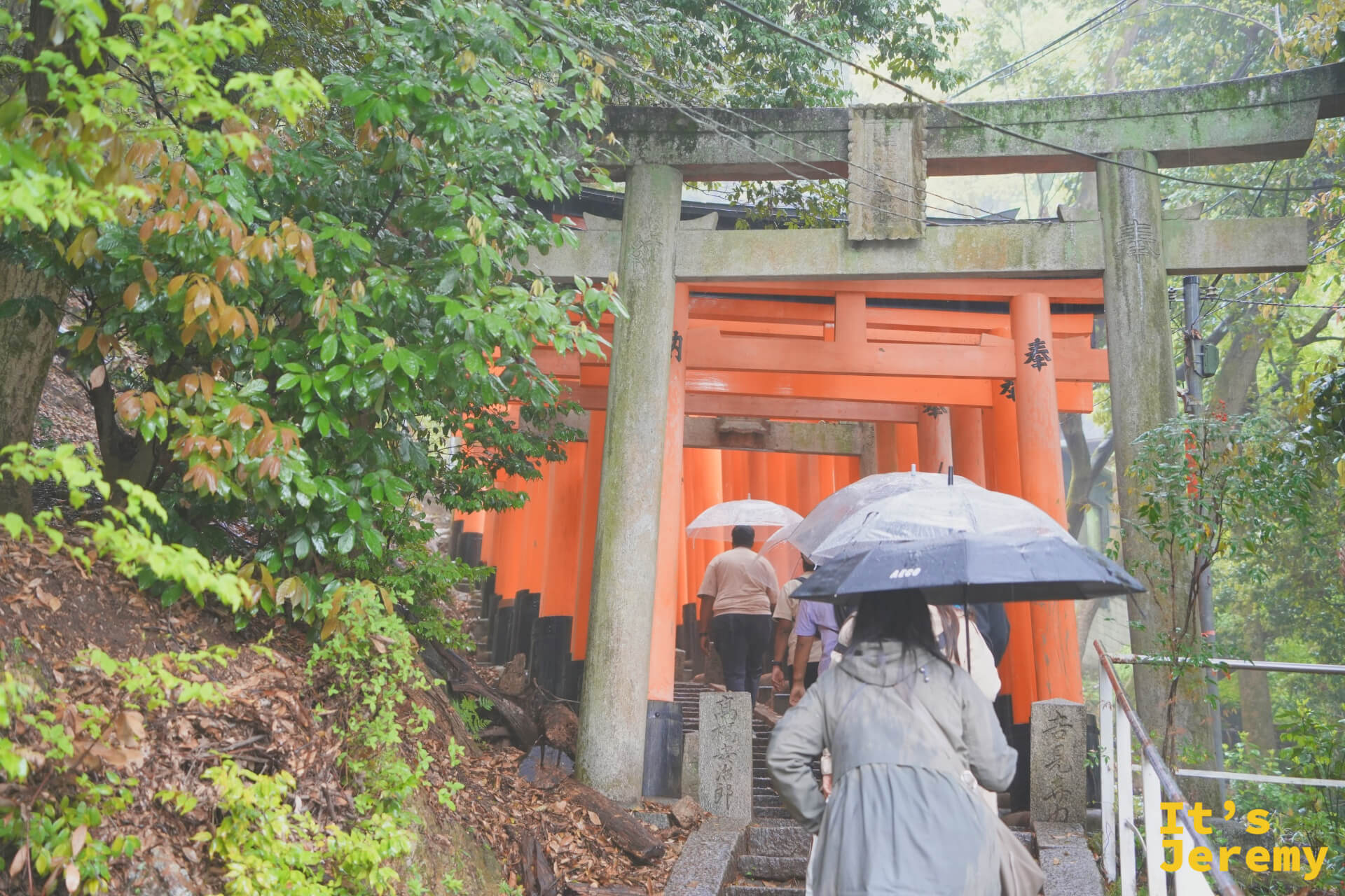 上山途中回望，撐傘的人走進鳥居隧道，像是走進一幅畫裡