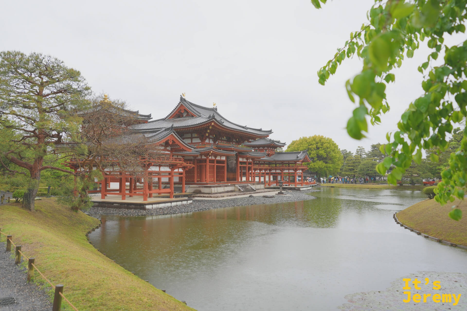 從右後側望向鳳凰堂，樹葉自然框住建築，形成有縱深的層次感