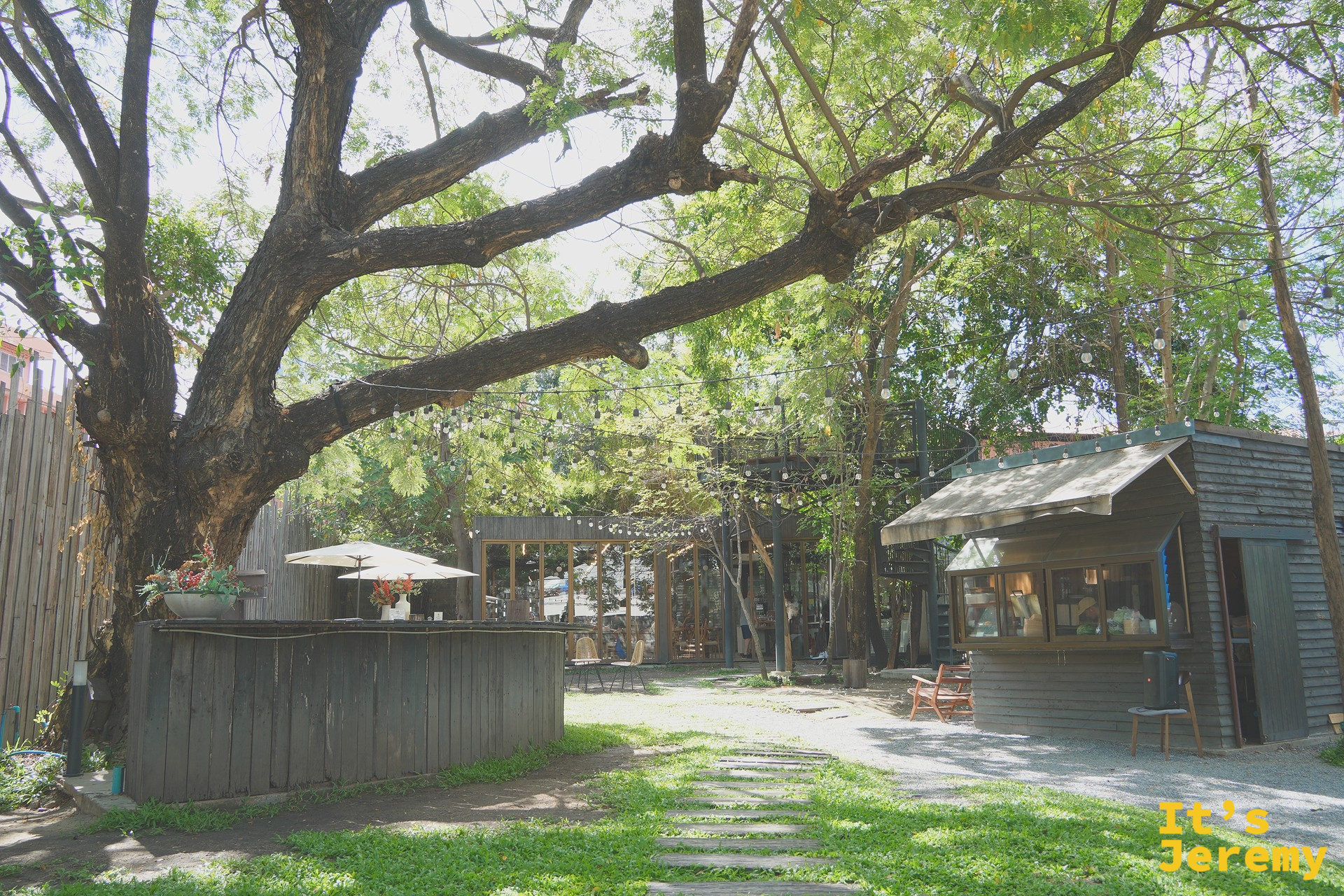 The Wood Land 店內庭園綠意