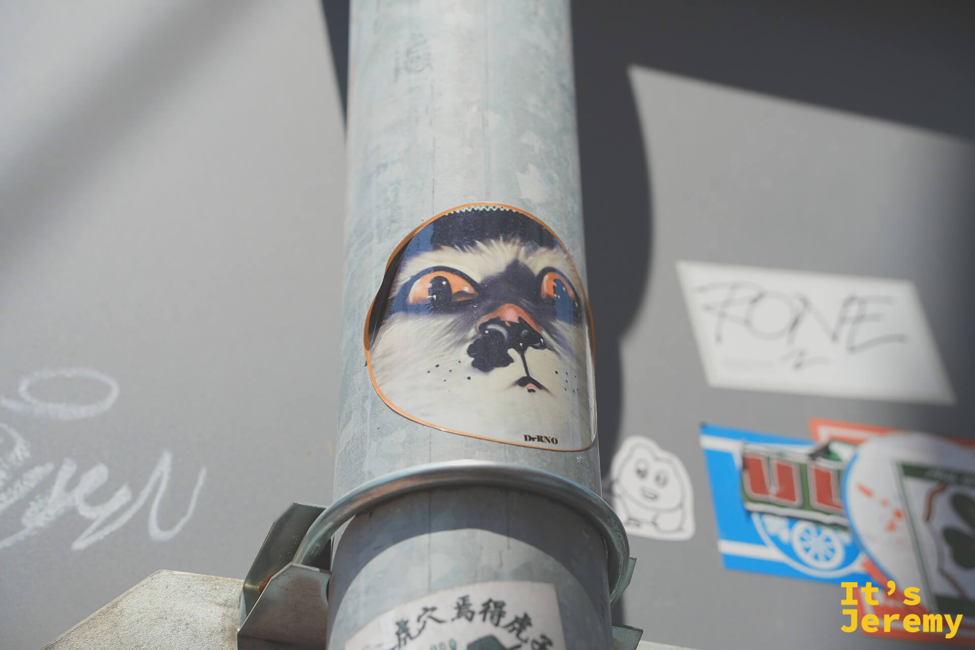 另一張燈柱上的貓臉貼紙，老城區的街頭塗鴉文化散在各種角落