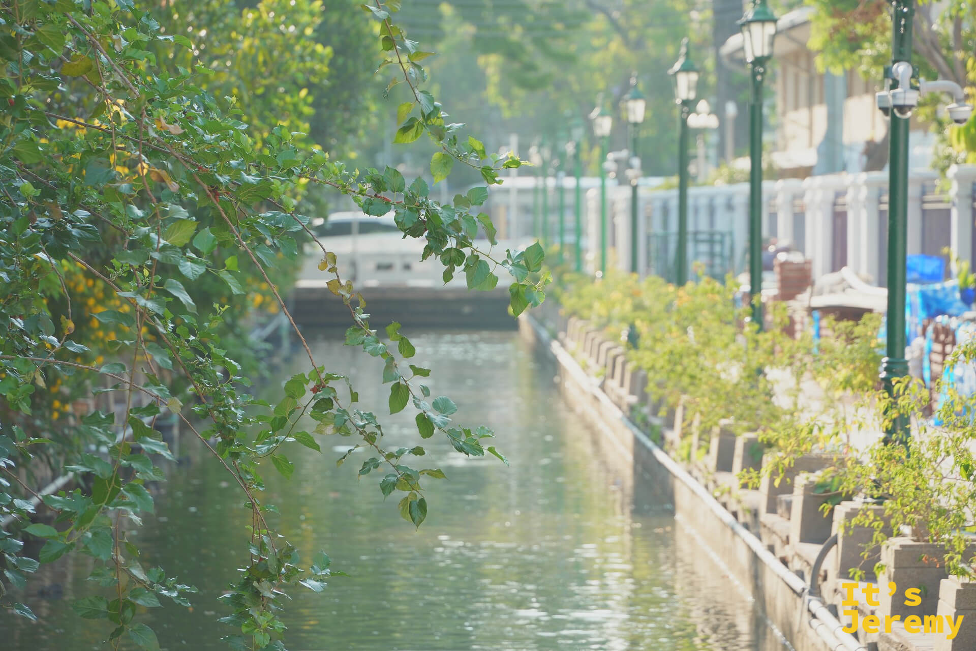 舊王城護城河 Klong Khu Mueang Doem 段，垂榕倒映在綠色運河水面