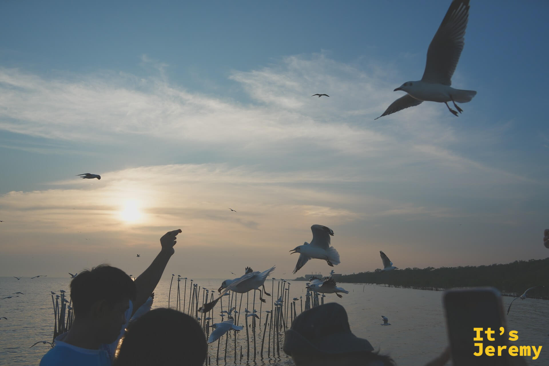 夕陽即將沒入海面，前景是手伸出去餵食的剪影