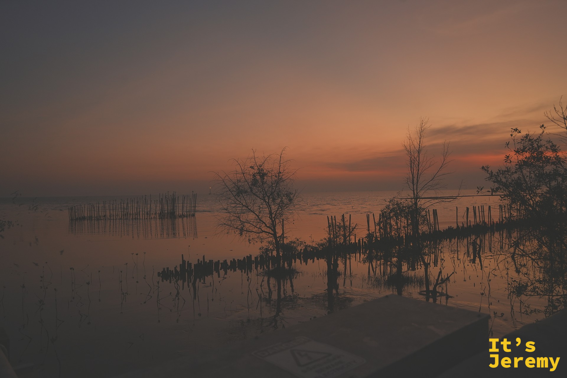 夕陽下的紅樹林潮間帶倒影