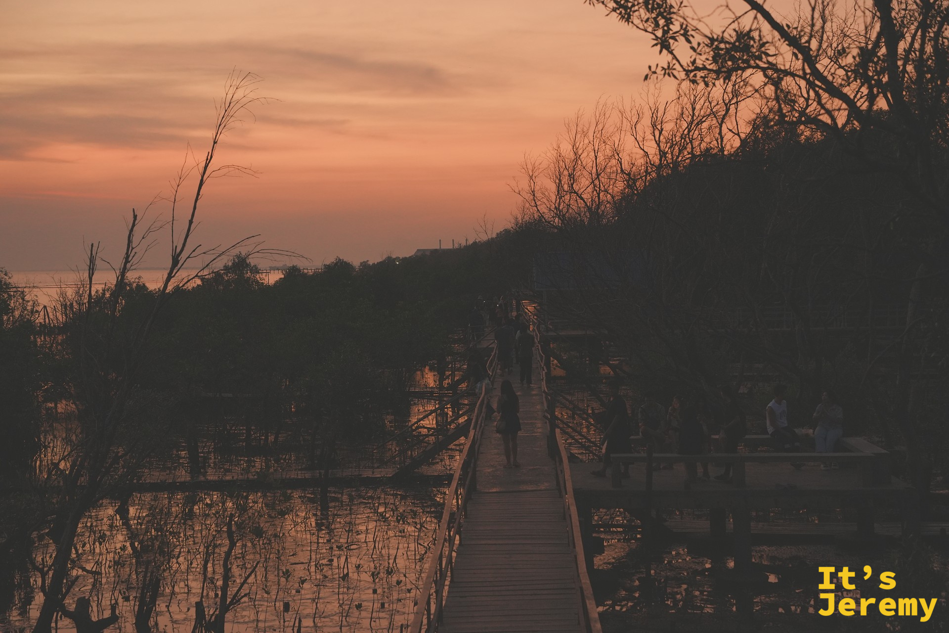 紅樹林木棧道與夕陽