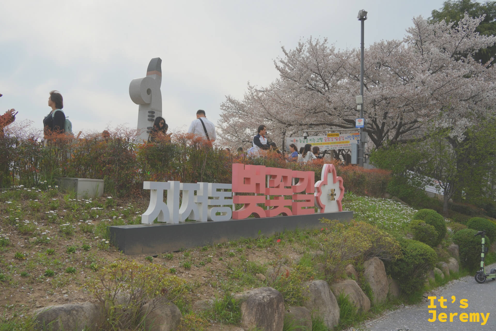「제천동 벚꽃길」(諸川洞櫻花路)韓文招牌與雕塑藝術,周圍是櫻花與遊客