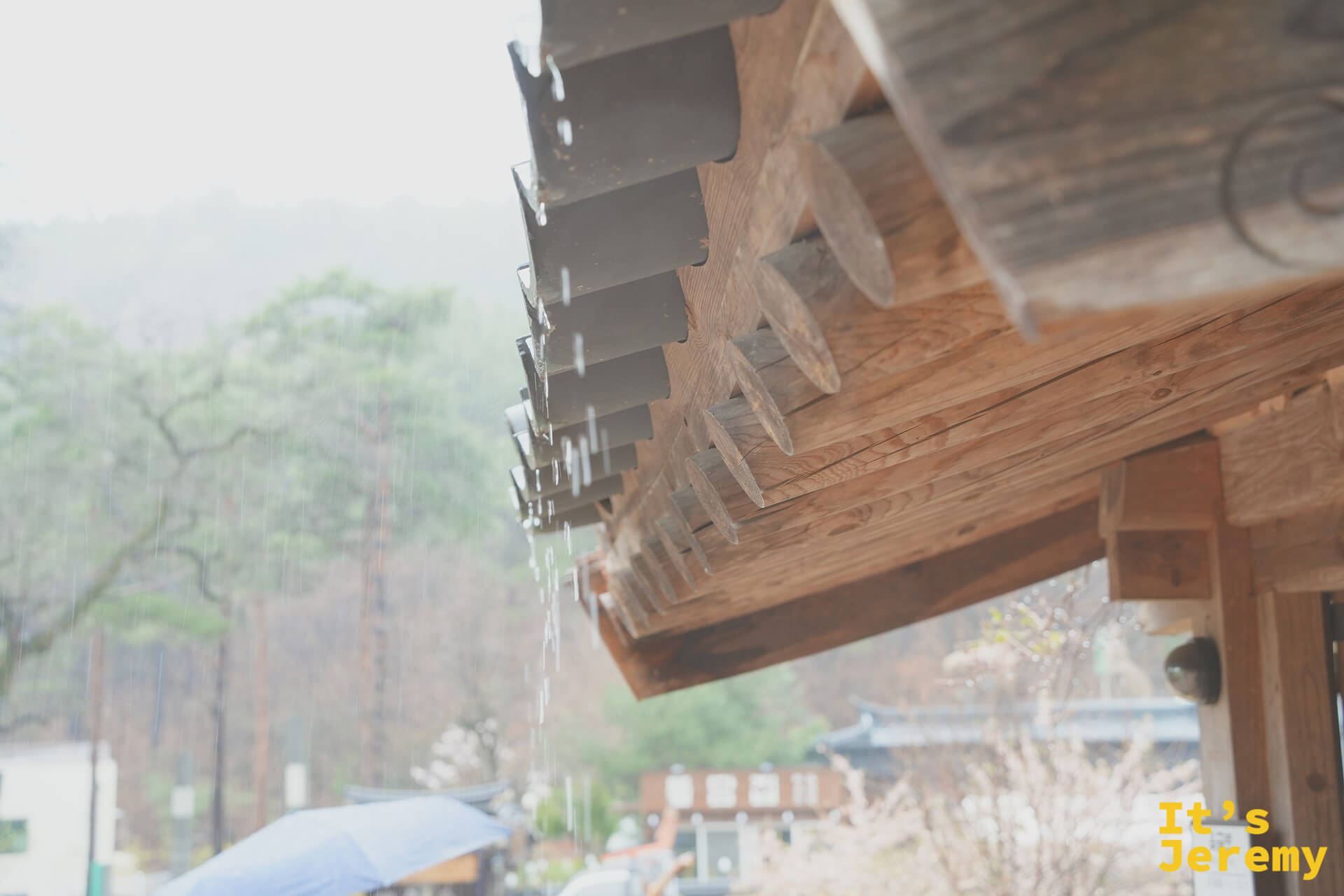 屋簷飛簷在大雨中，雨水沿著圓筒形椽木滴落，遠方雨傘隱約可見