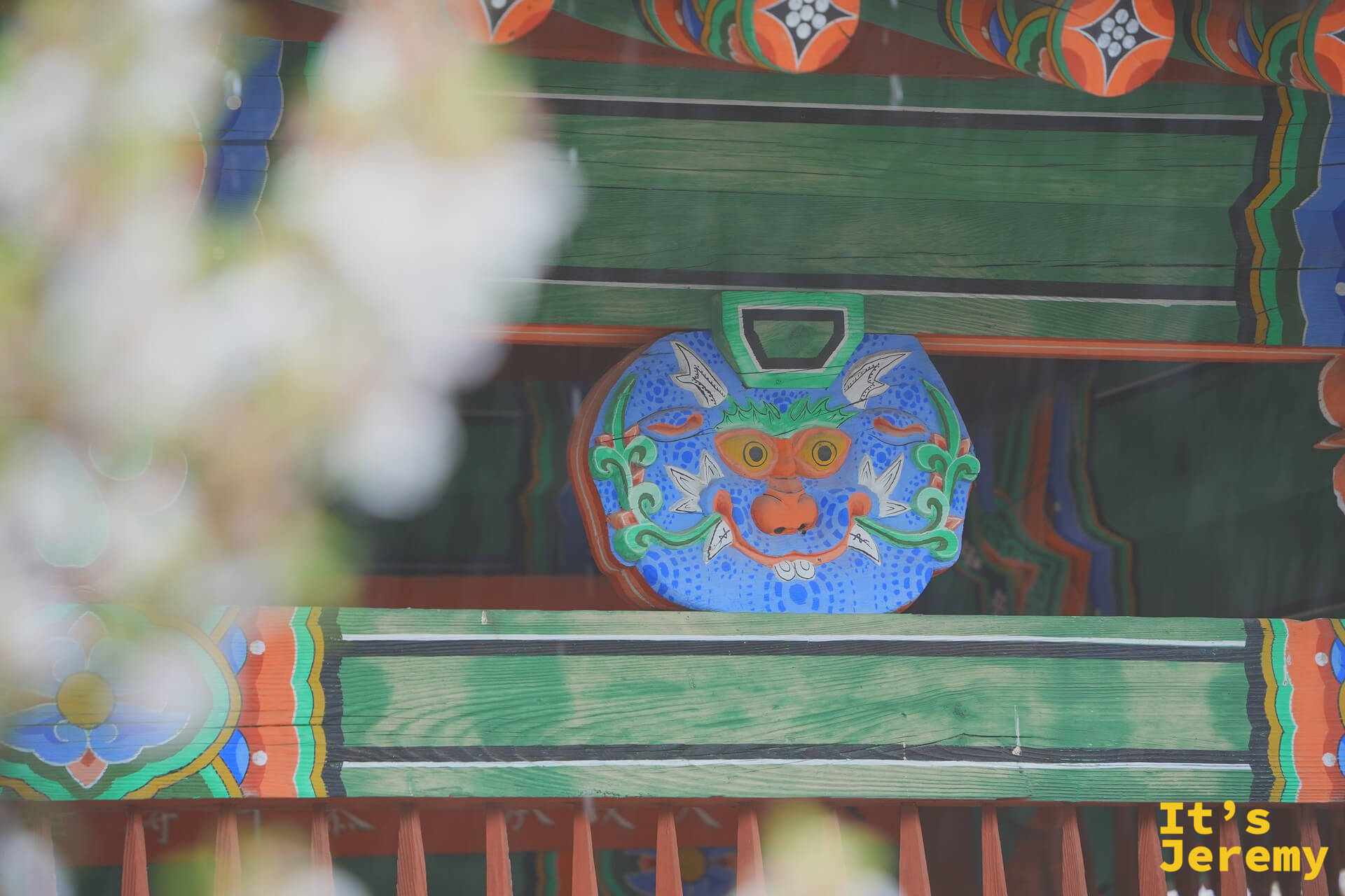 建築樑上的단청彩繪，藍底도깨비鬼面鮮豔奪目，前景是雨中散焦的白色櫻花瓣
