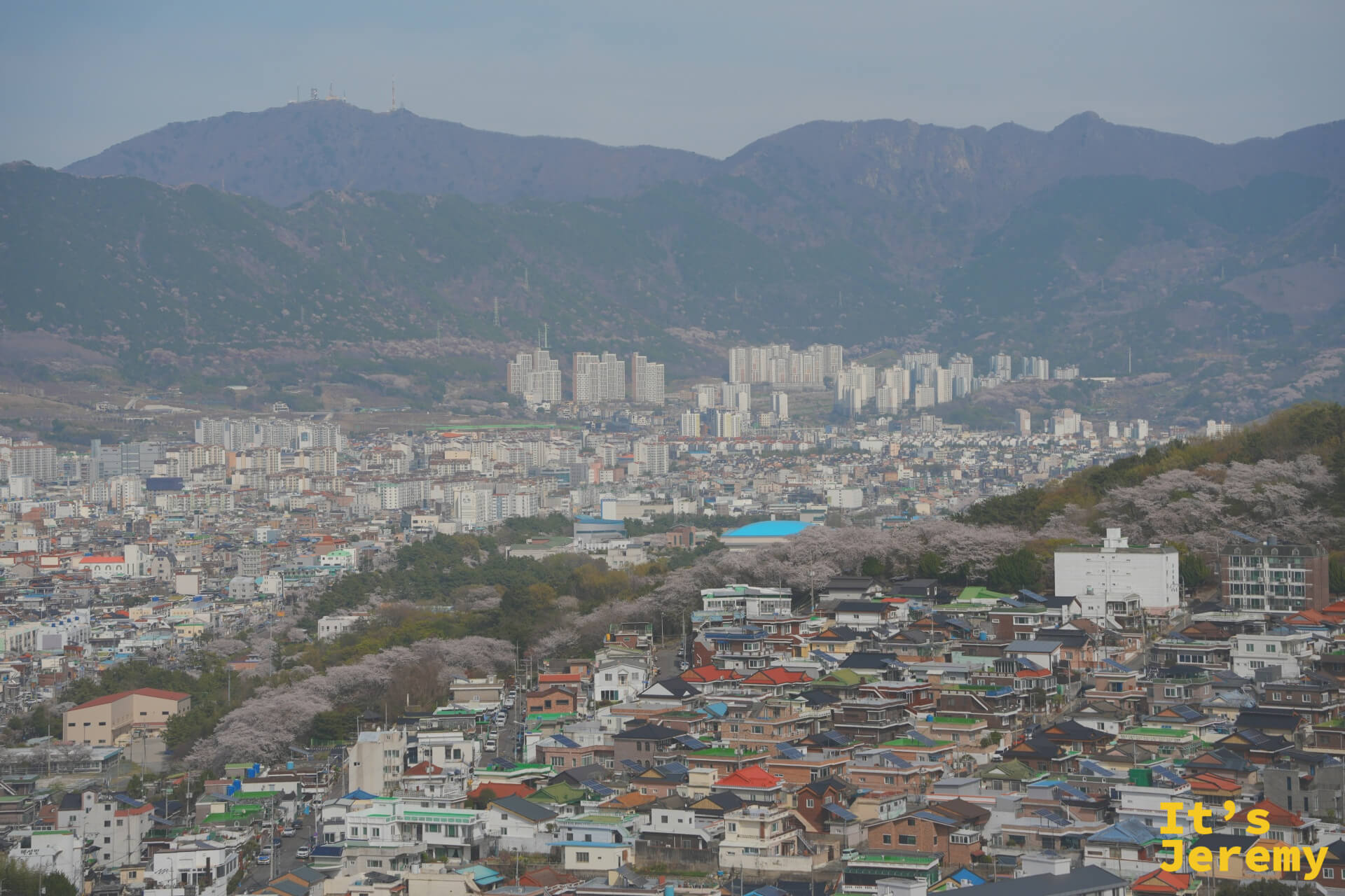 從鎮海塔頂往內陸方向望,整座城在群山包圍下鋪展開來,城中花樹的密度與分布一覽無遺