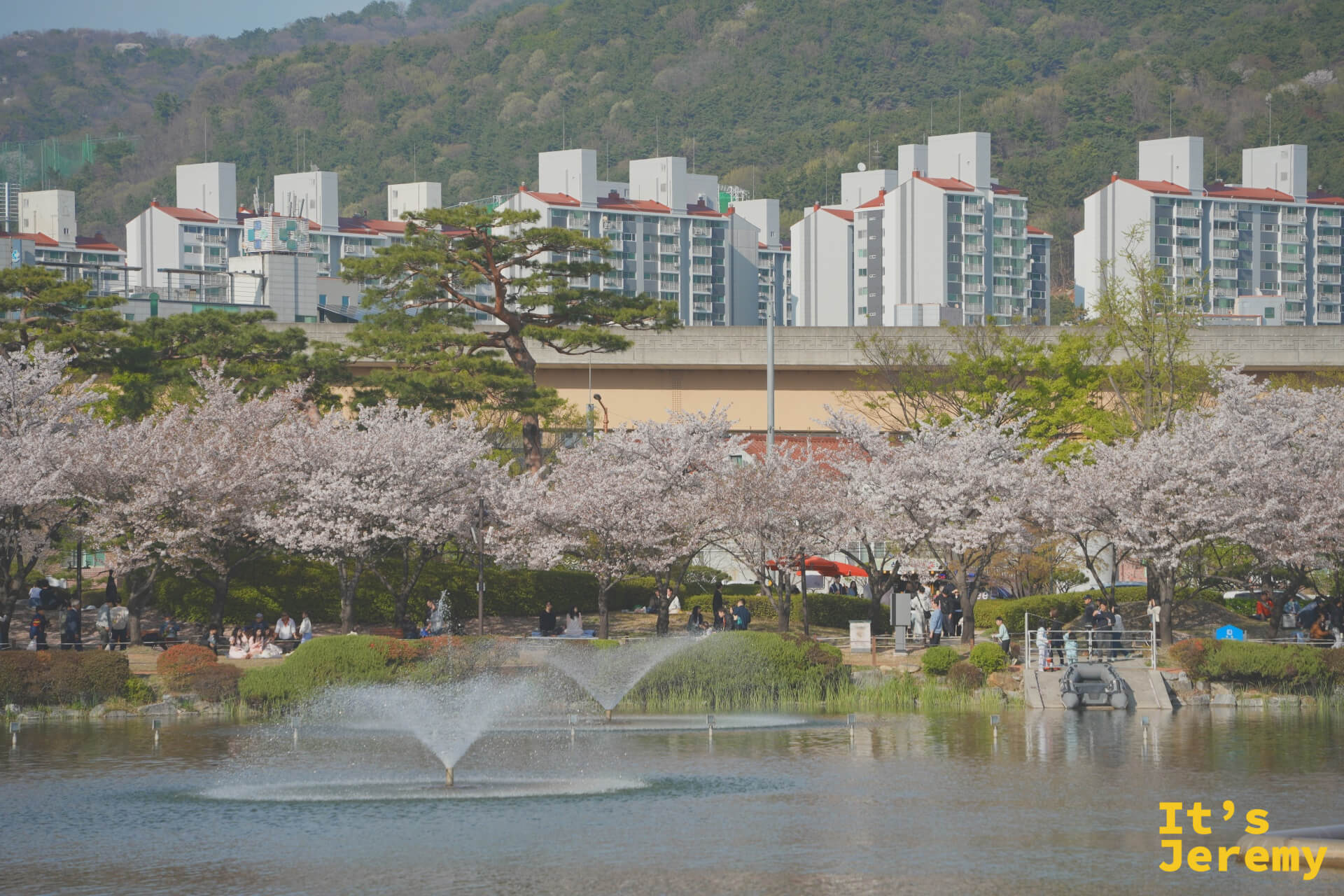 蓮池噴水池與環湖櫻花樹，金海輕軌高架橋在後方橫跨
