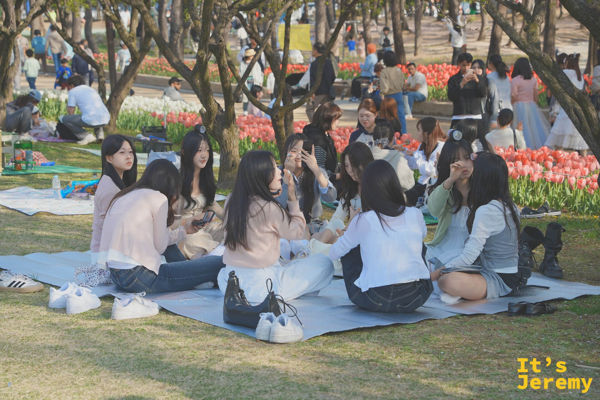 一群女學生在樱花與鬱金香之間研究化妝，笑聲不斷