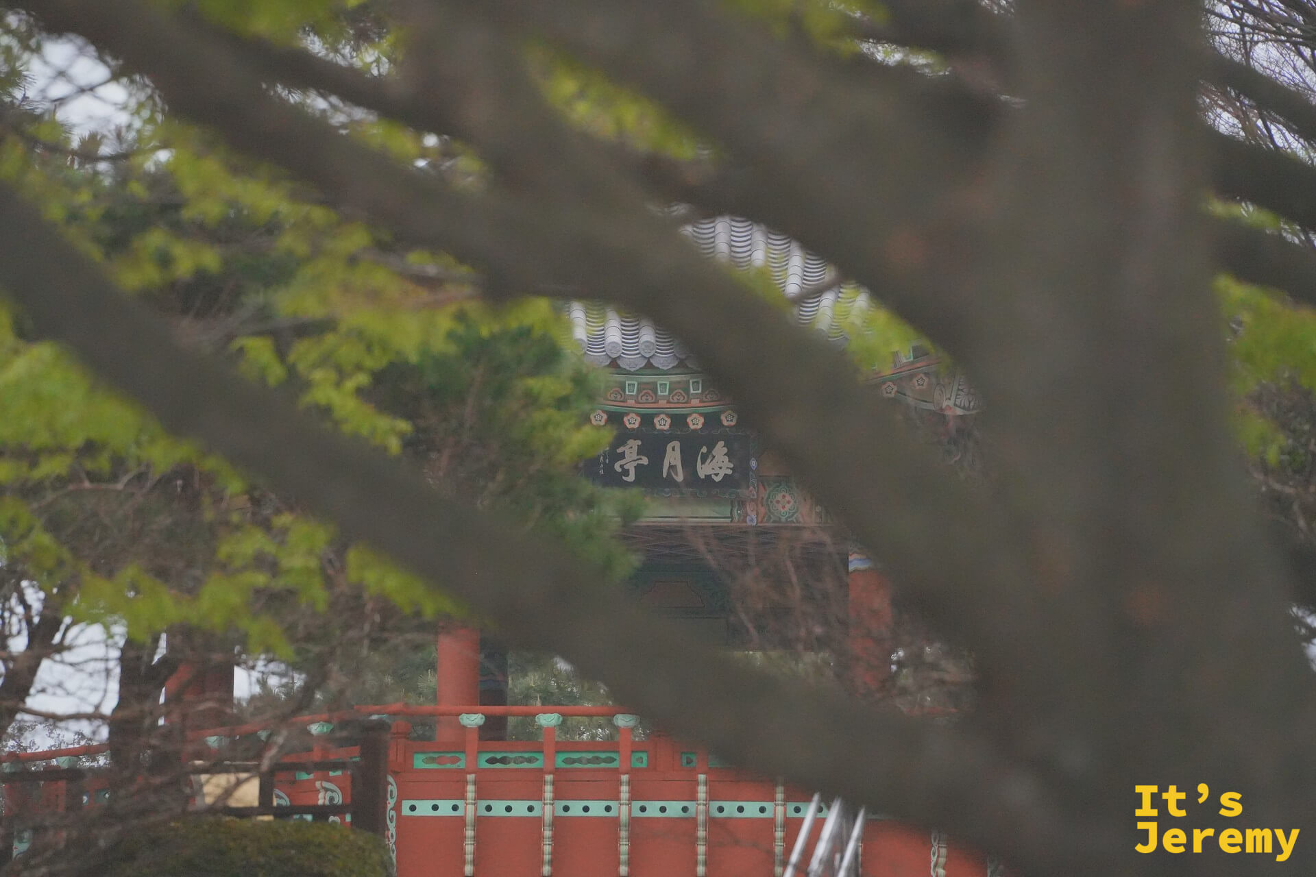 透過松樹枝椏取景，海月亭的屋頂與彩繪匾額若隱若現，自然枝條形成天然畫框