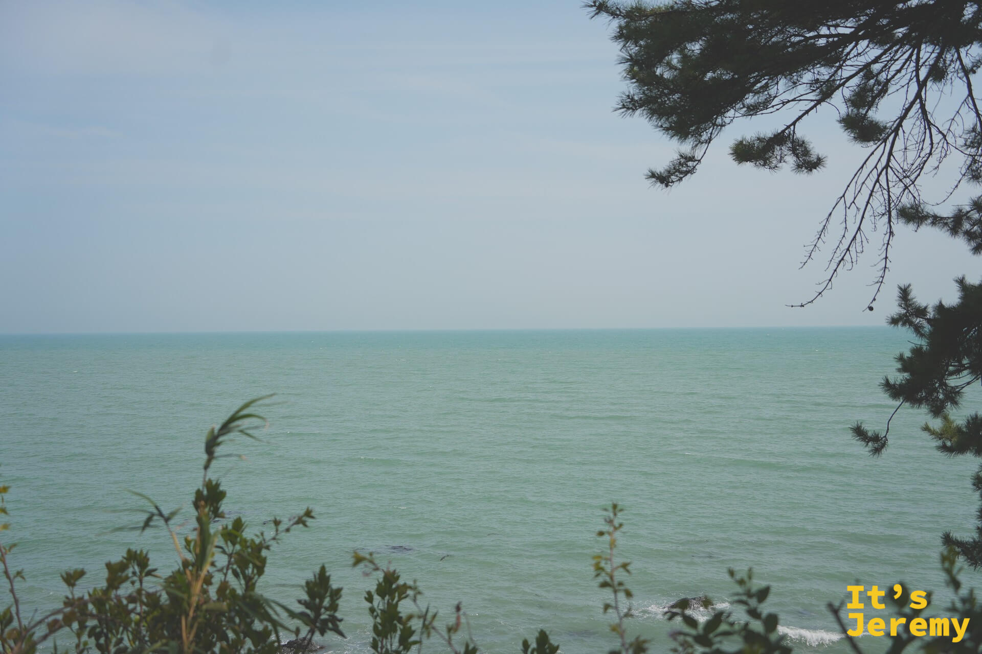 透過松樹枝葉框住的南海海景，水面被映照成淡藍綠色
