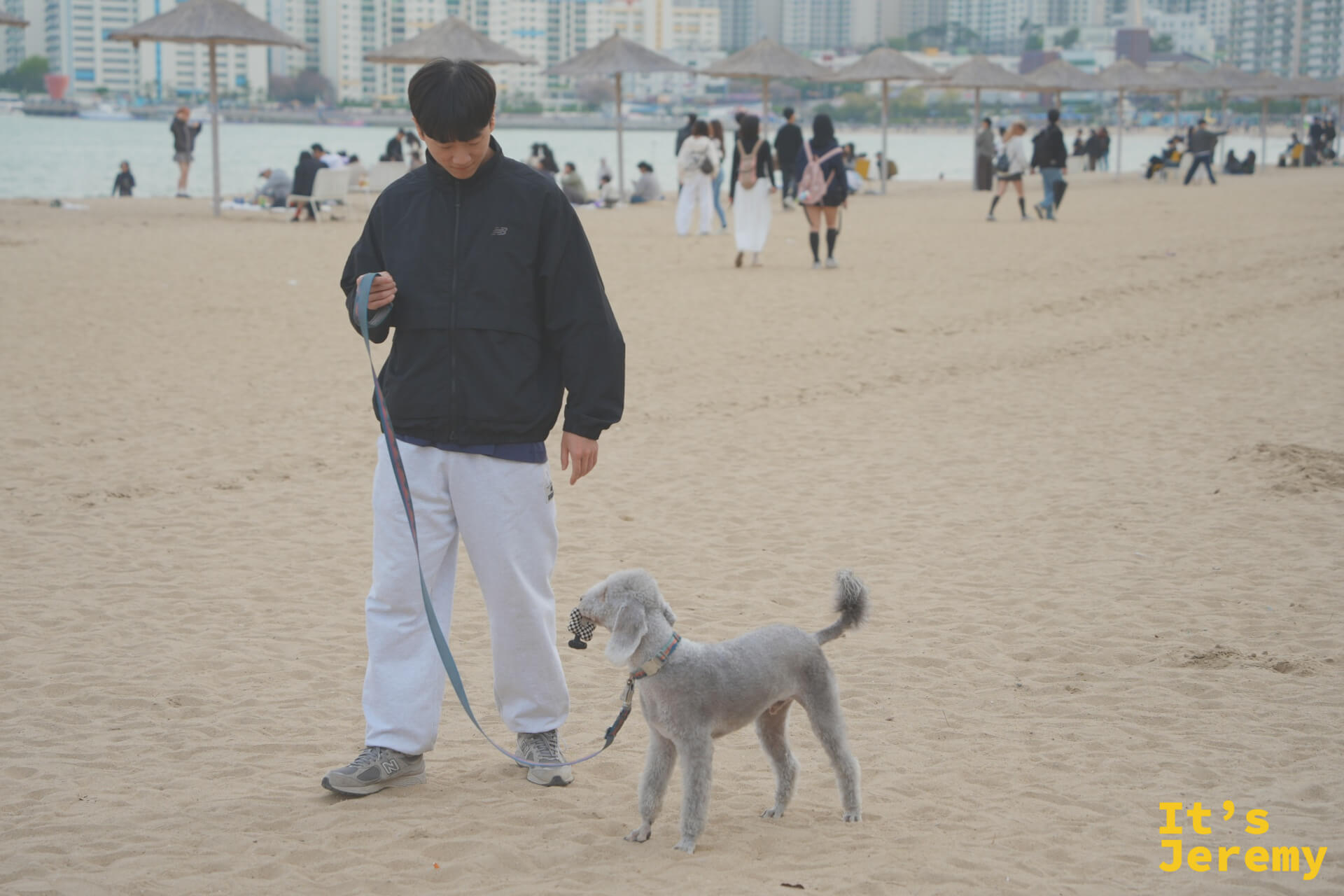 廣安里沙灘的日常：在地人牽著貴賓狗悠閒散步