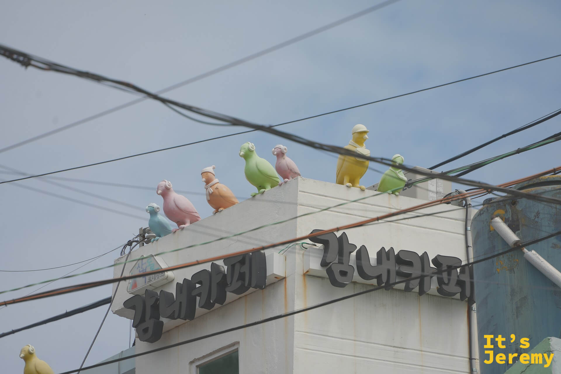 강내카페 屋頂上一排彩色小鳥與人形雕像