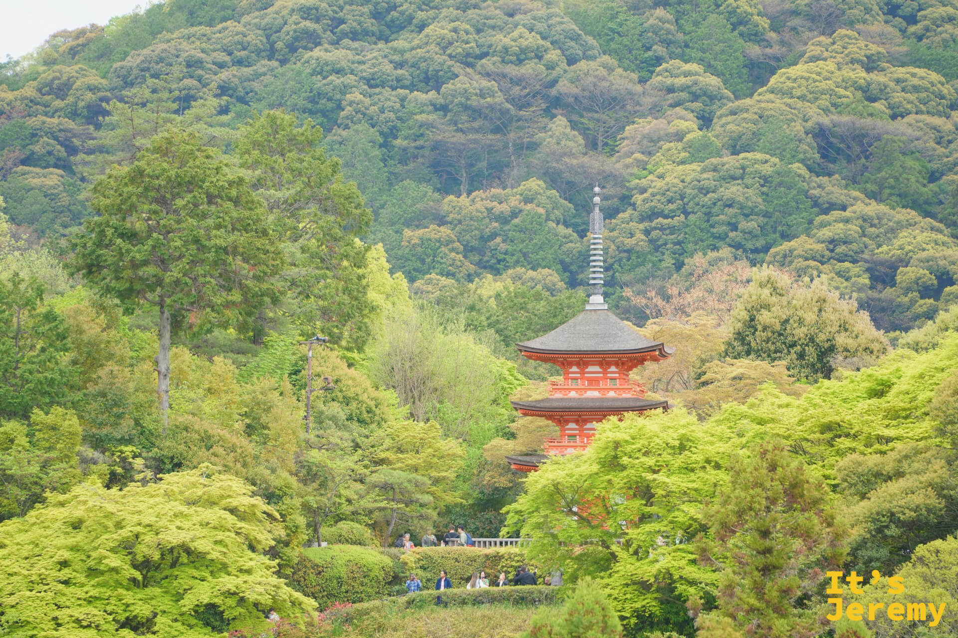 從遠處望見的子安塔，在山林中若隱若現