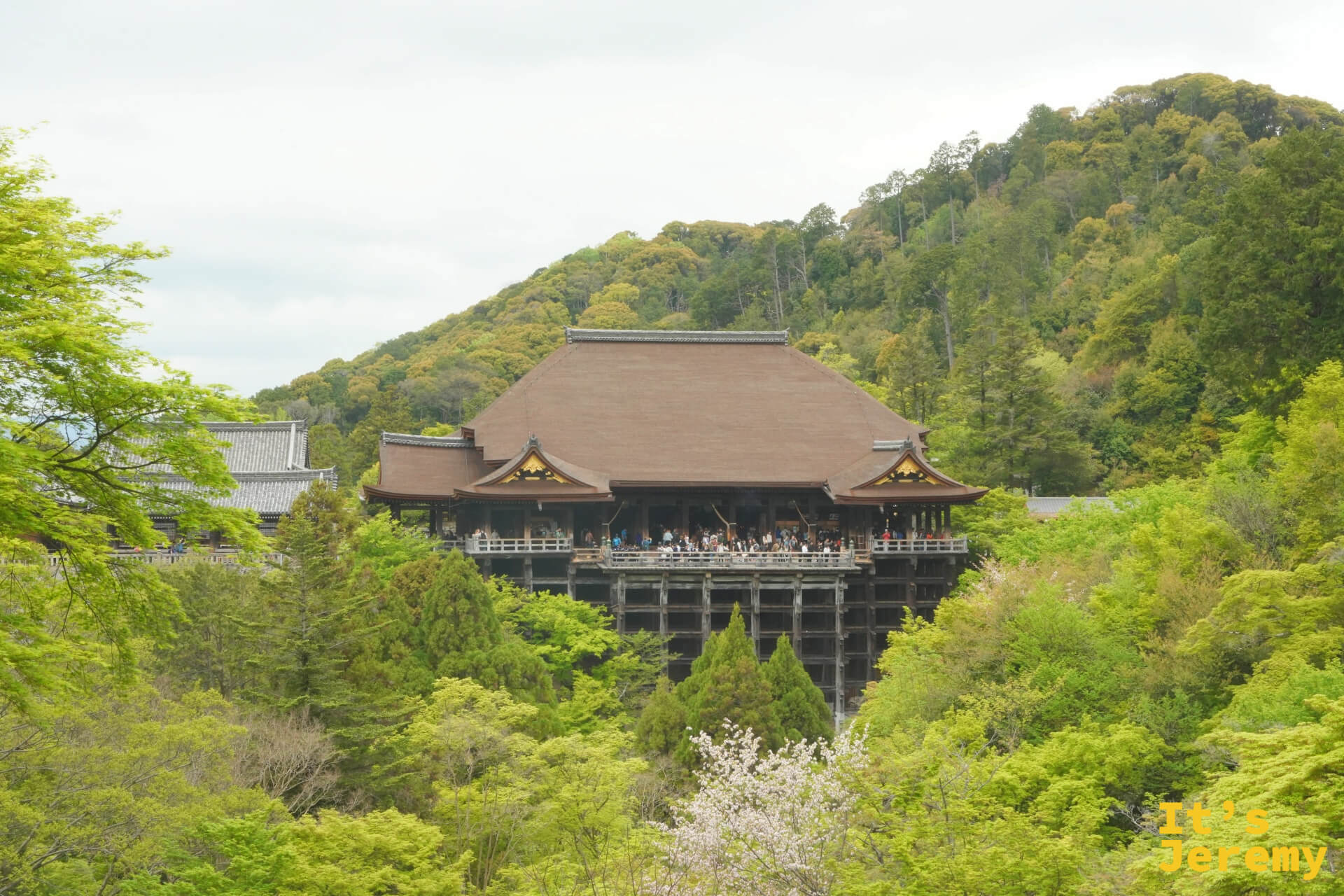 清水舞台更遠景，建築群隱入東山綠意