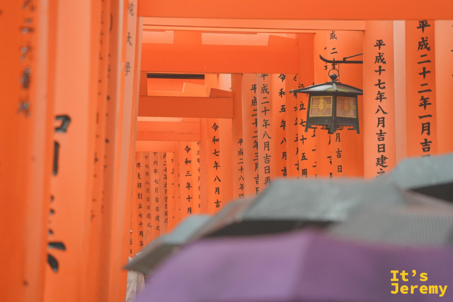 千本鳥居內，燈籠懸掛在鳥居之間，日文字跡刻在柱面上