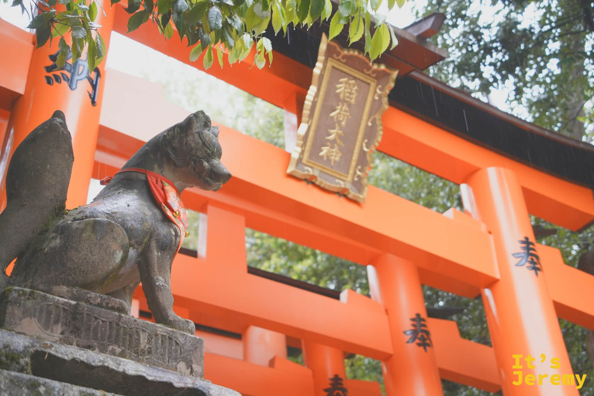 石狐像與身後的「稲荷大神」牌匾、鳥居隧道構成一幅完整的構圖