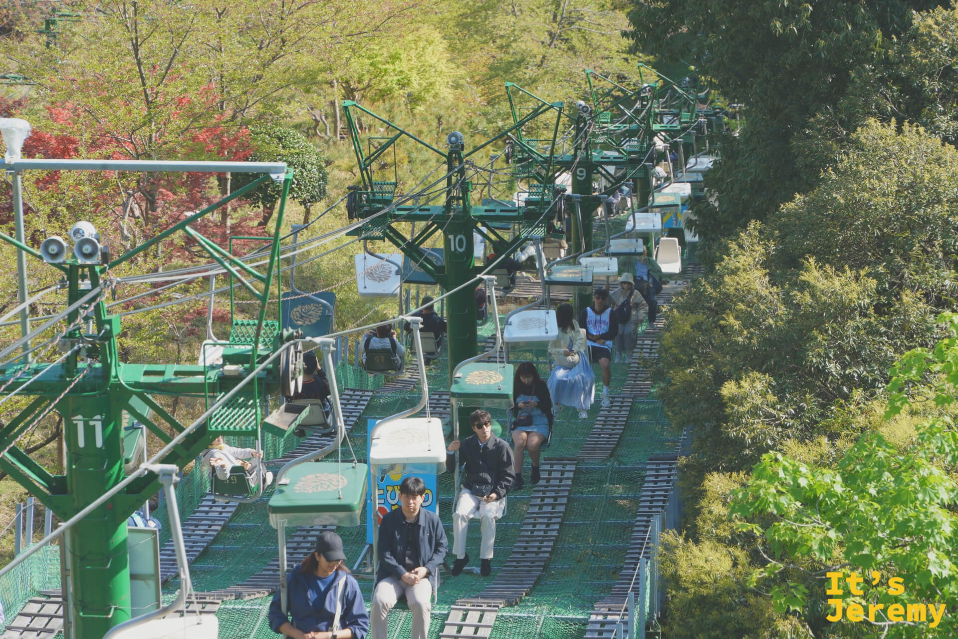傘松公園リフトの搬器が連なる様子