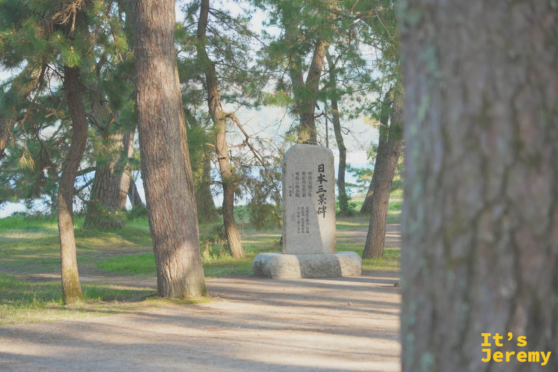 天橋立の「日本三景碑」が松林の中に立つ