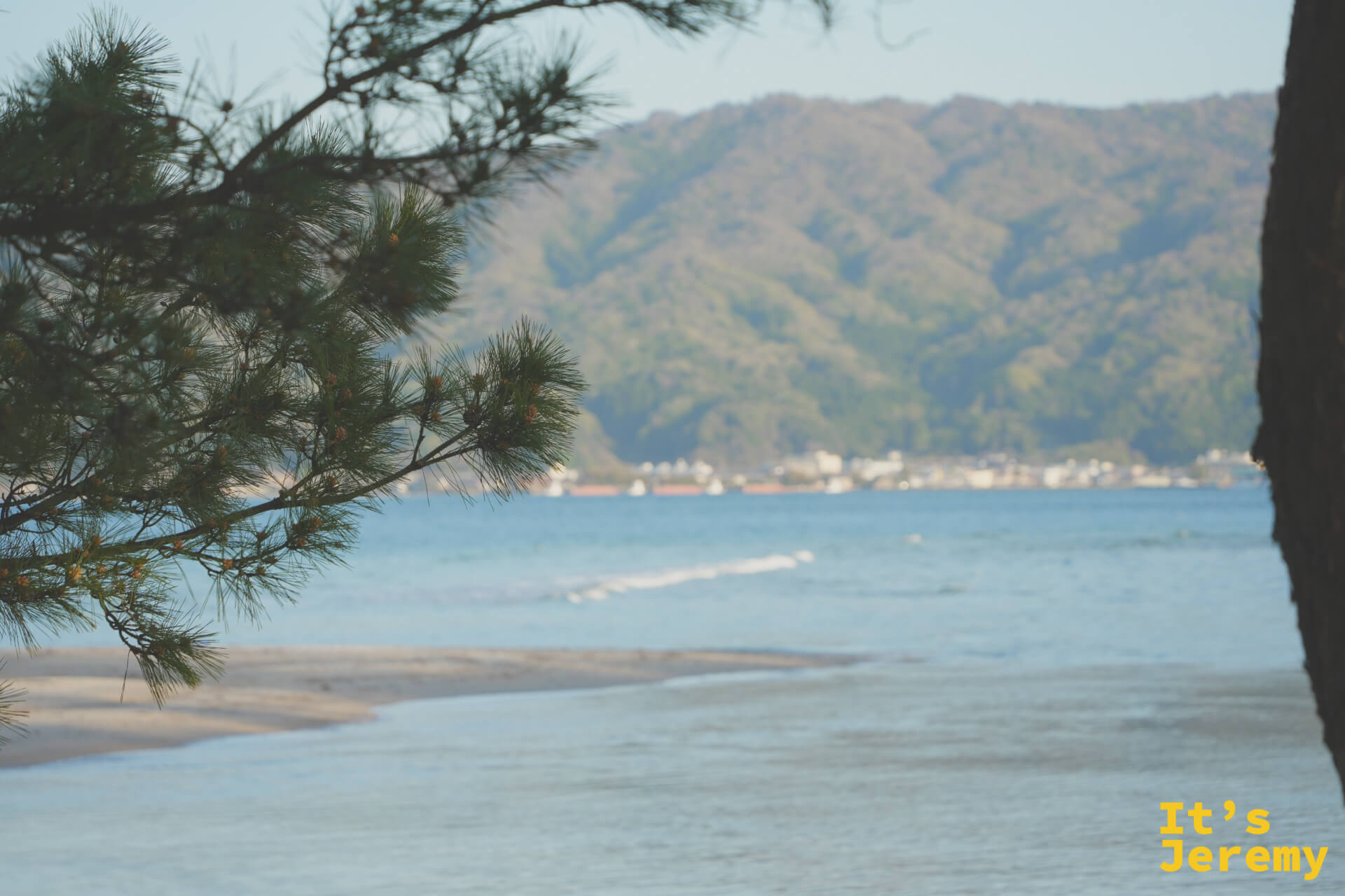 松の枝を前景に、宮津湾と対岸の山村