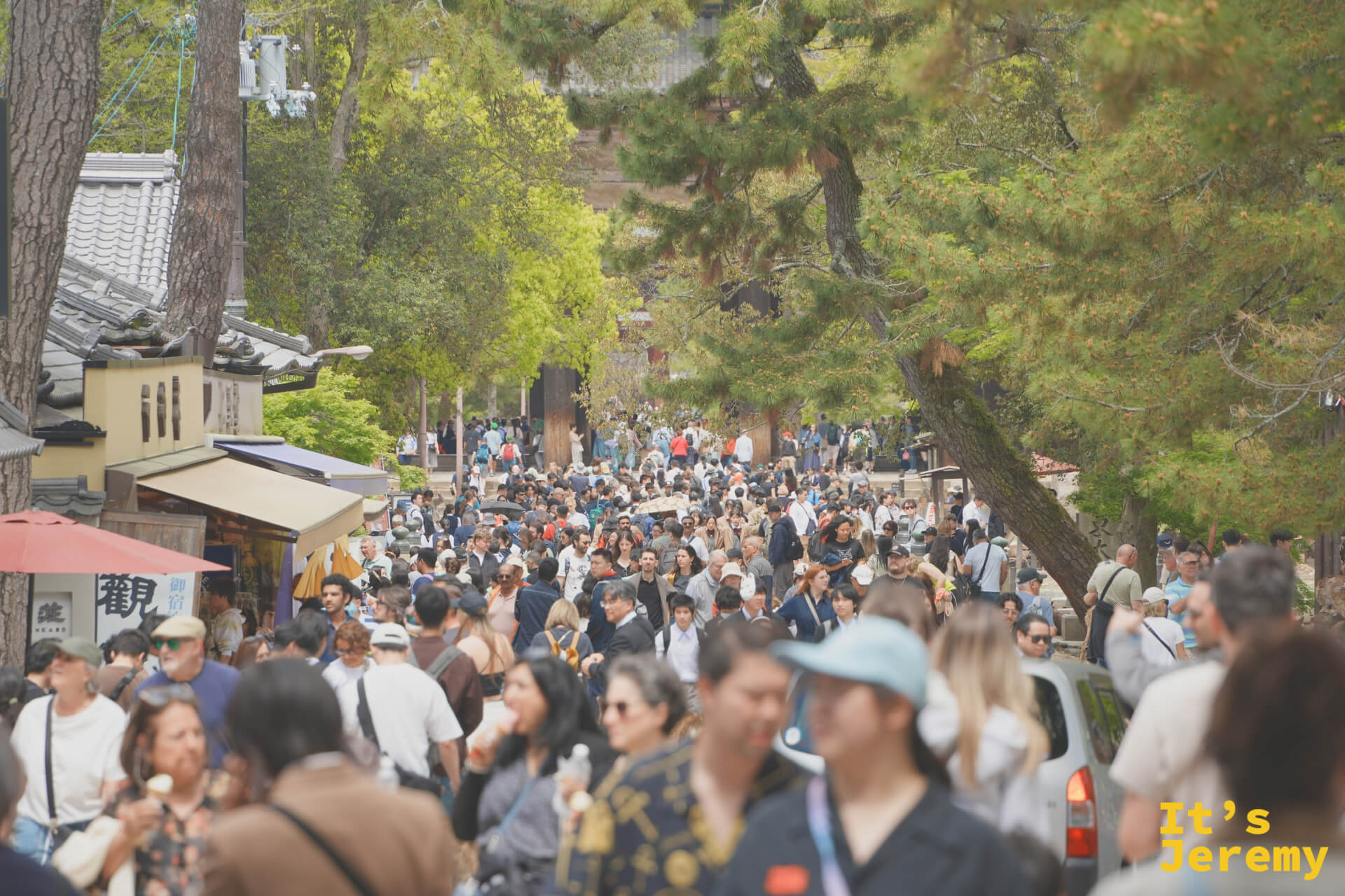 通往東大寺的大道擠滿了各國遊客