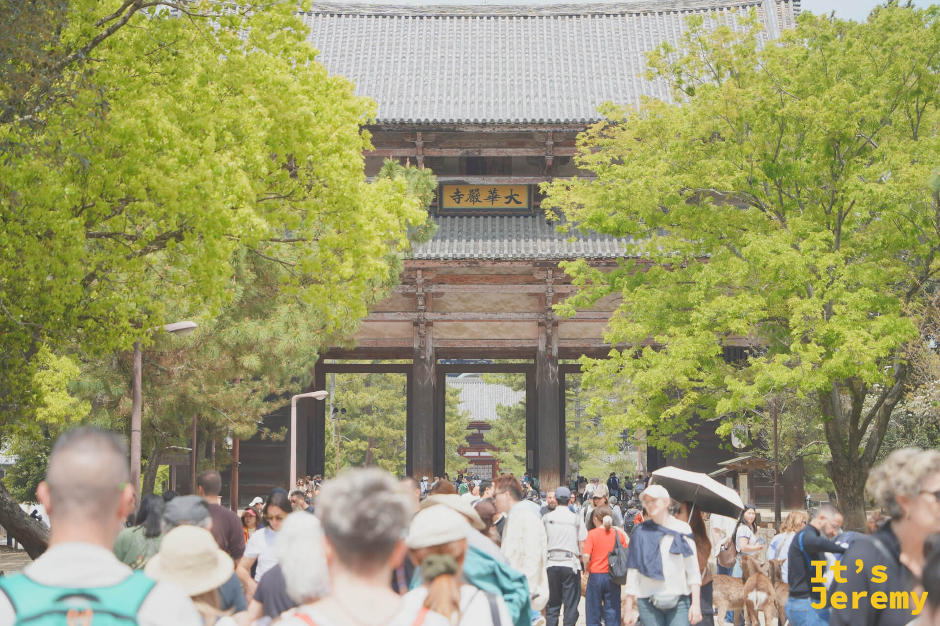 南大門遠拍，人群湧入