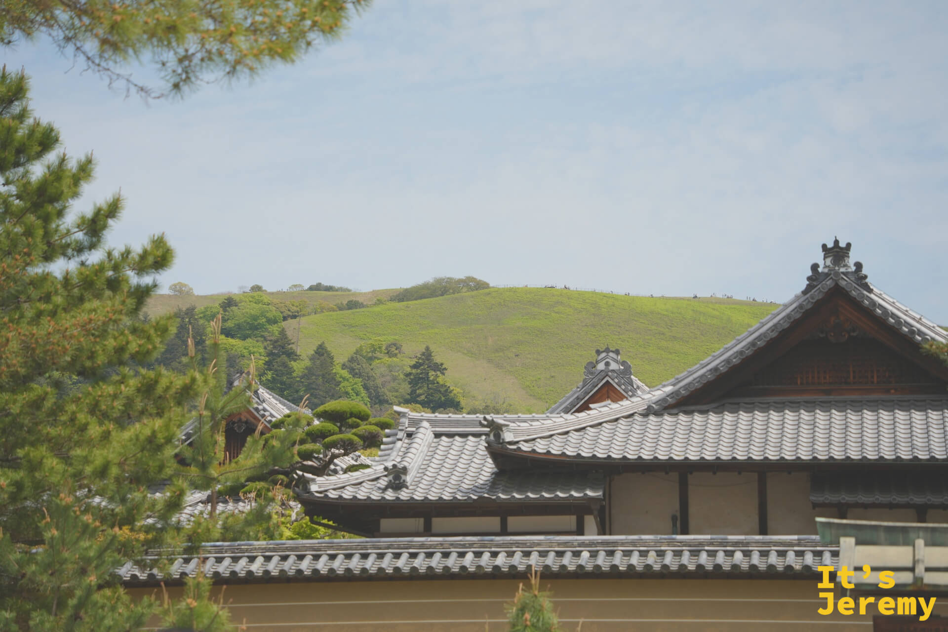 奈良屋頂群與若草山的遠景