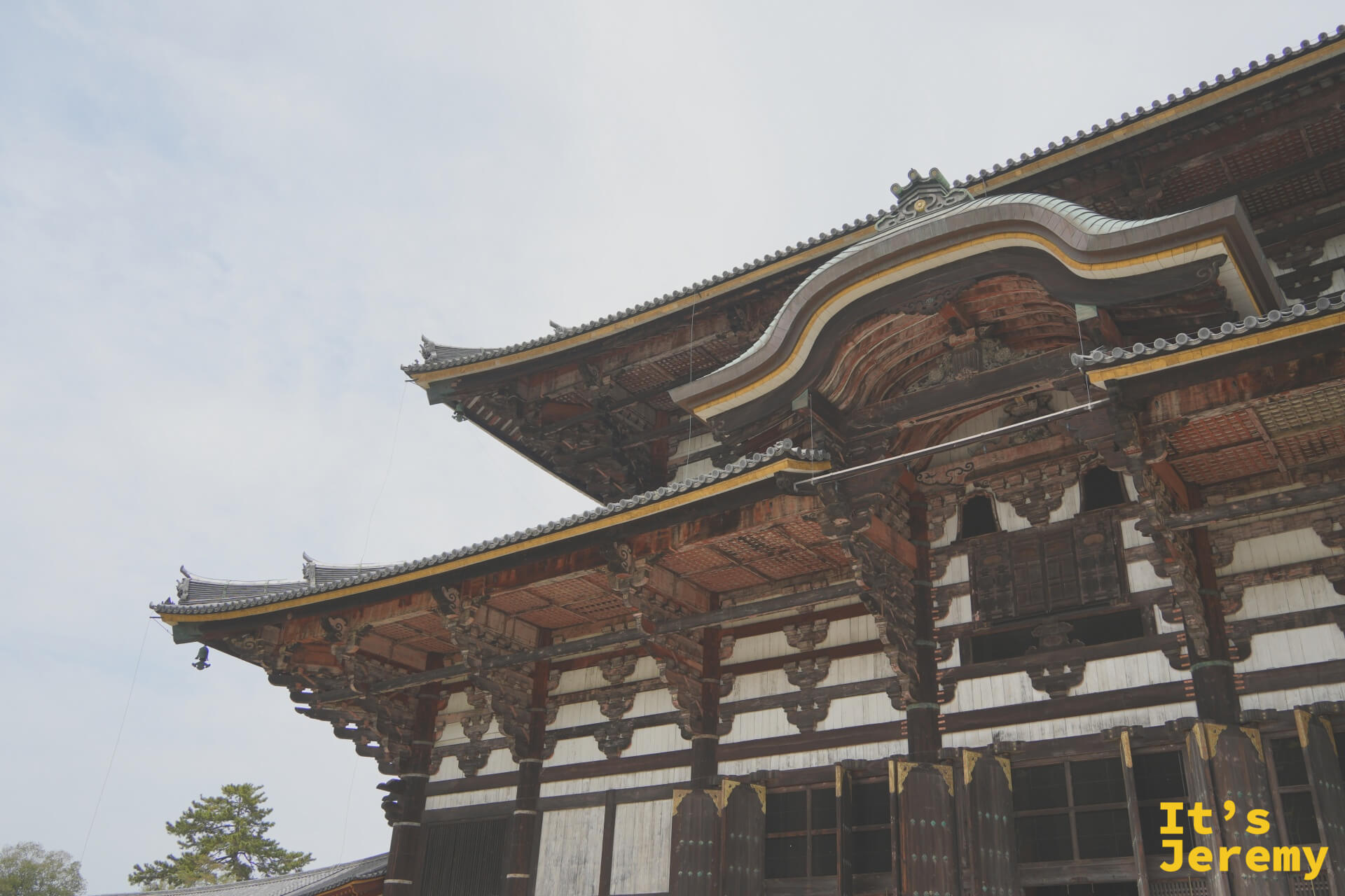 大仏殿屋頂與廊廡，仰角視點