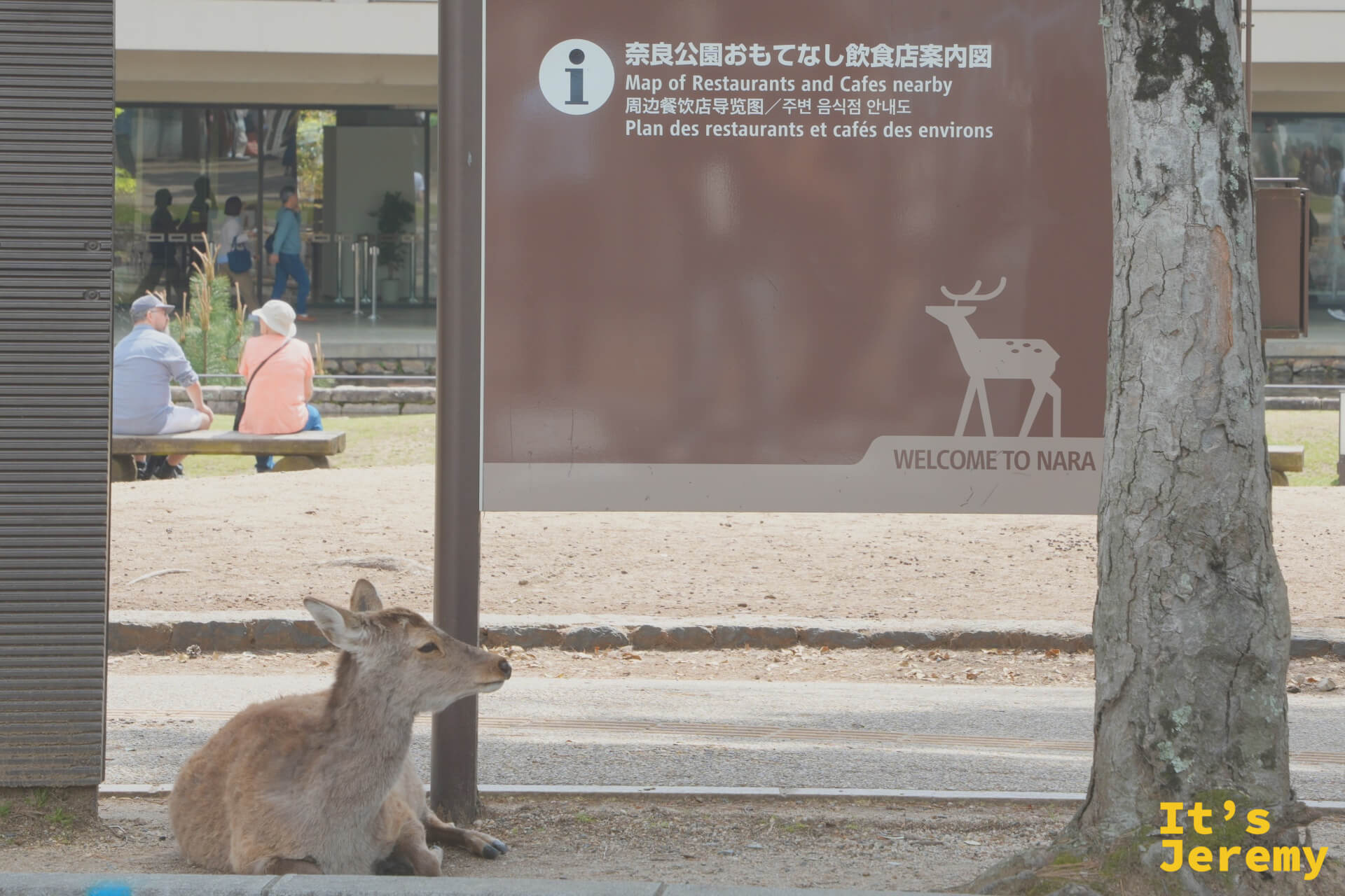 小鹿坐在「Welcome to Nara」公園導覽標牌旁