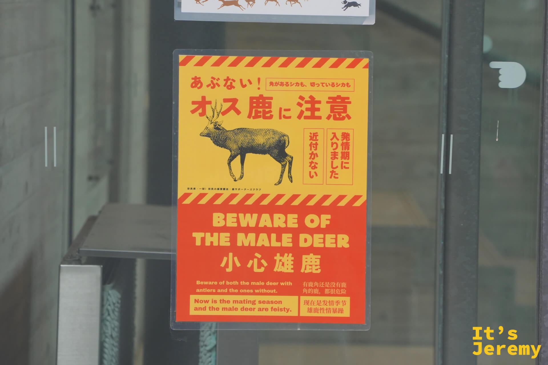 「BEWARE OF THE MALE DEER」發情期公鹿警告牌