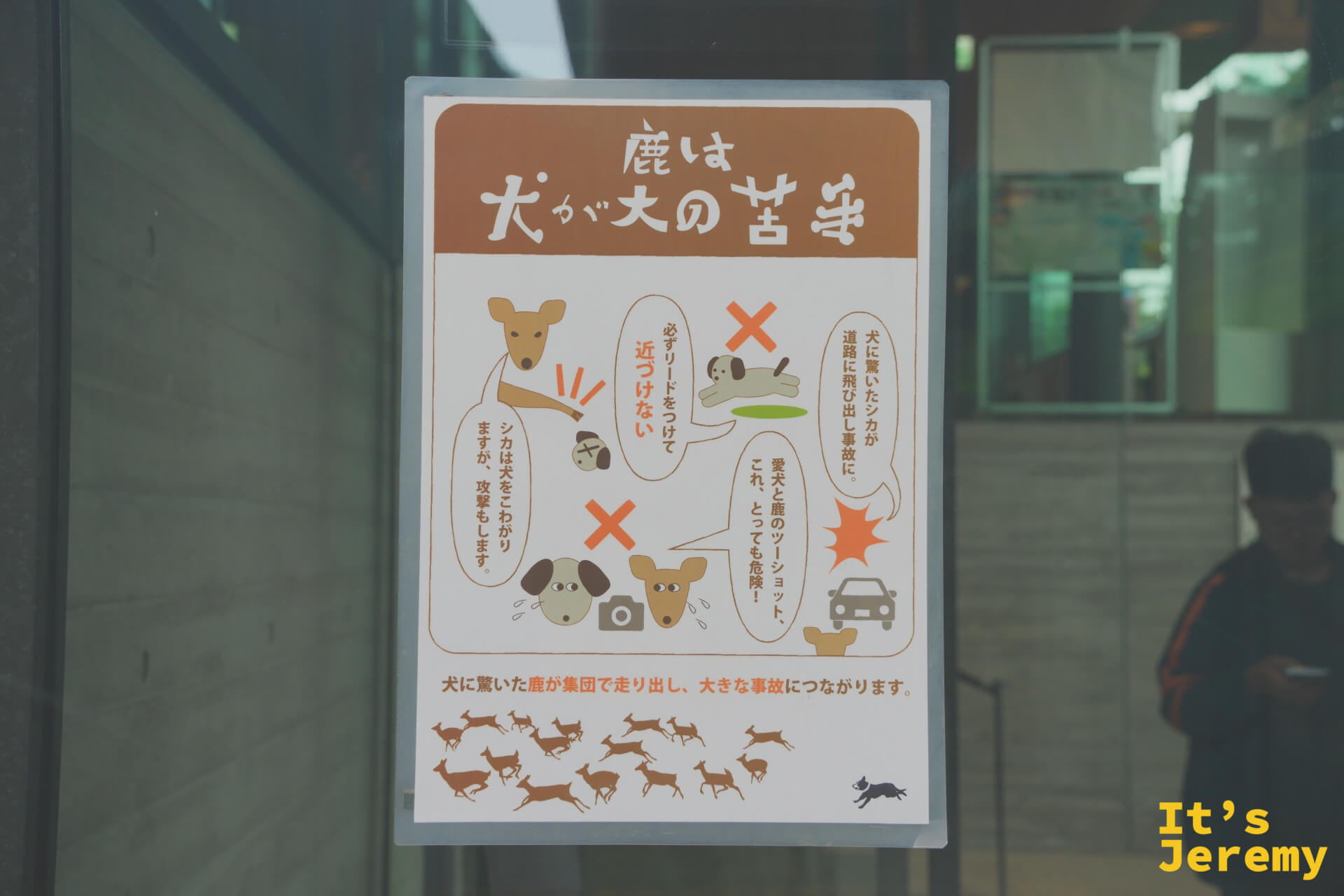 「鹿は犬が大の苦手」鹿見到狗會恐慌的警告