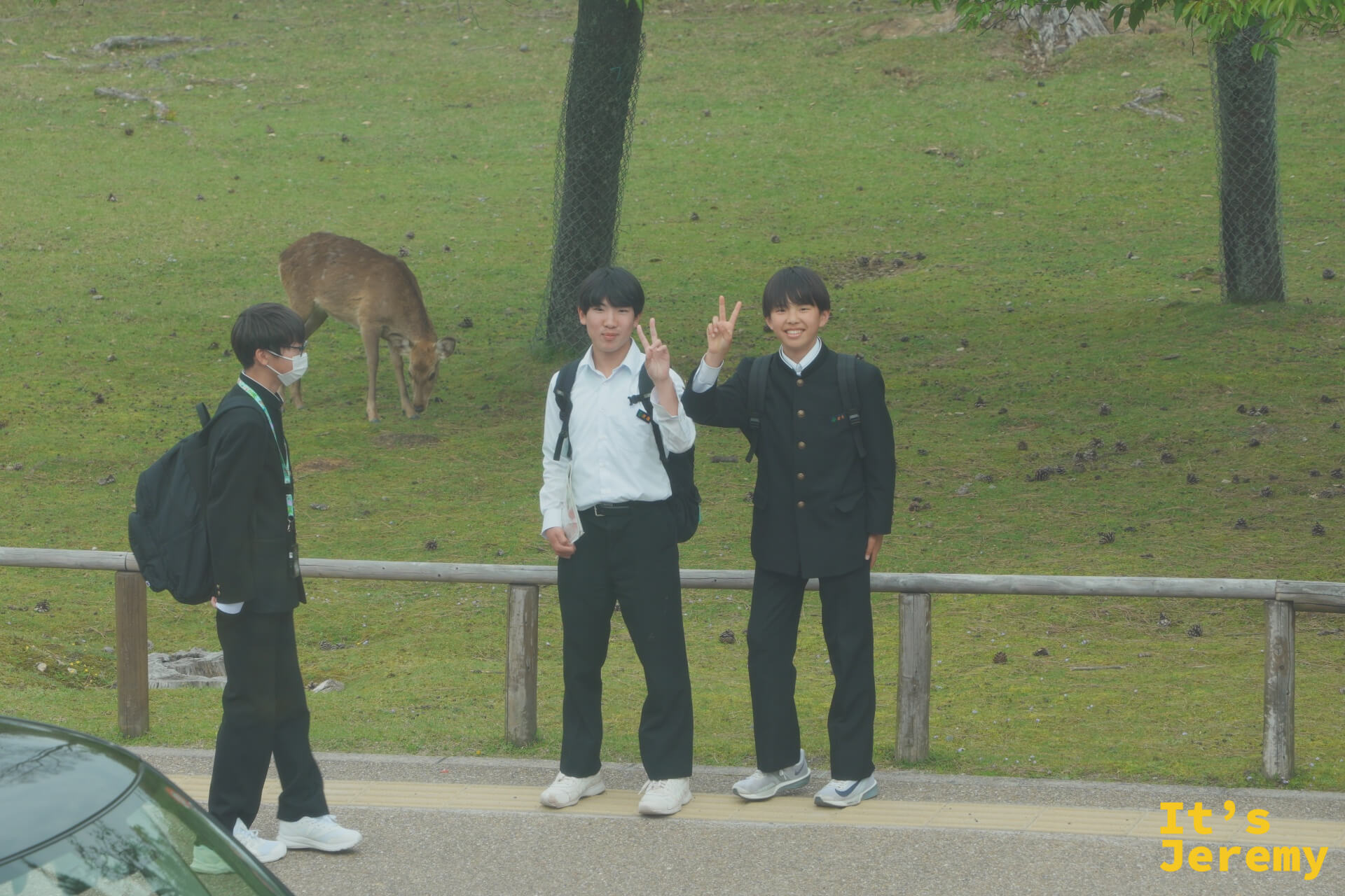 穿制服的學生在公園路旁比 V 拍照，身後草地上有鹿低頭覓食