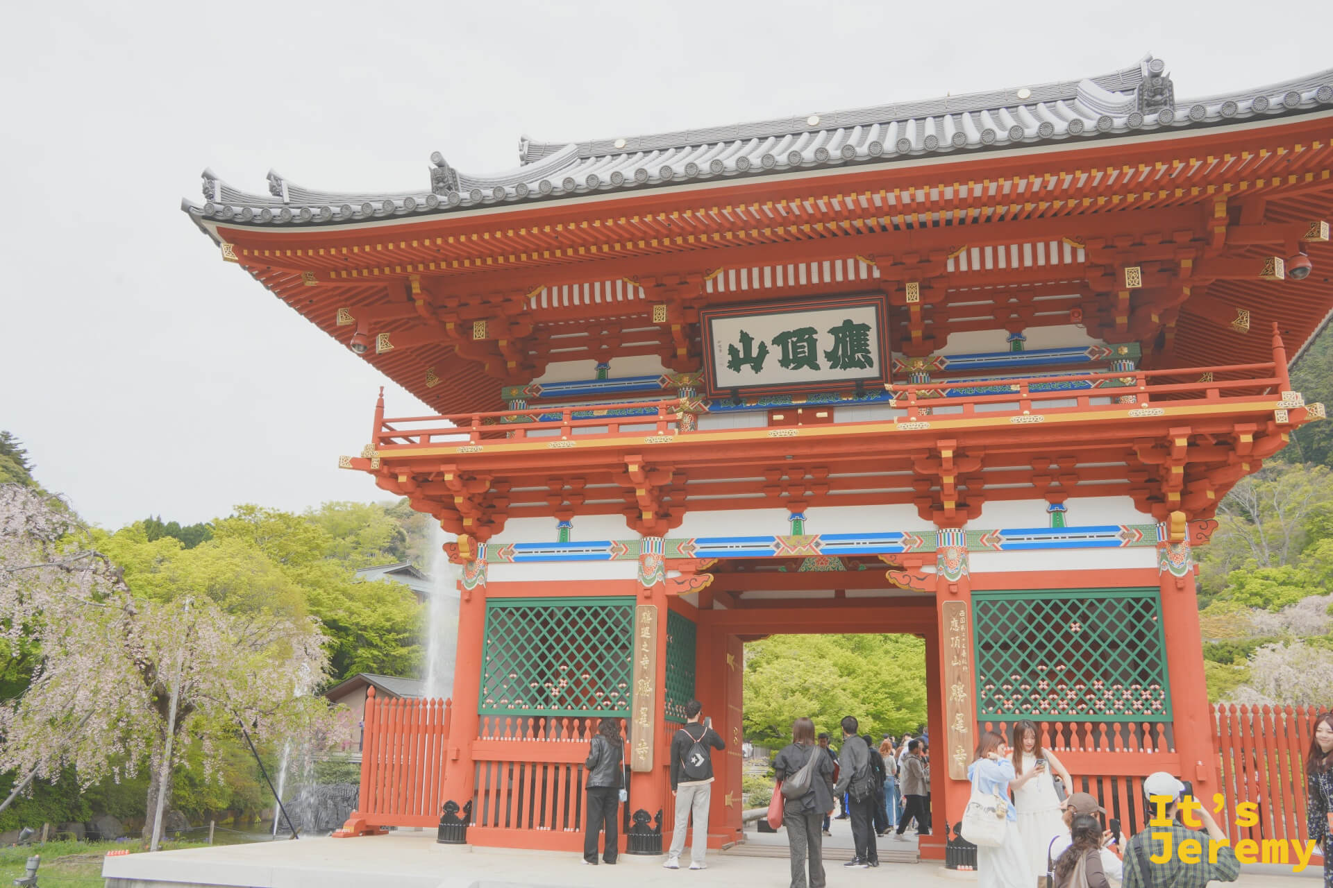 山門全景,左右兩側有枝垂櫻陪襯