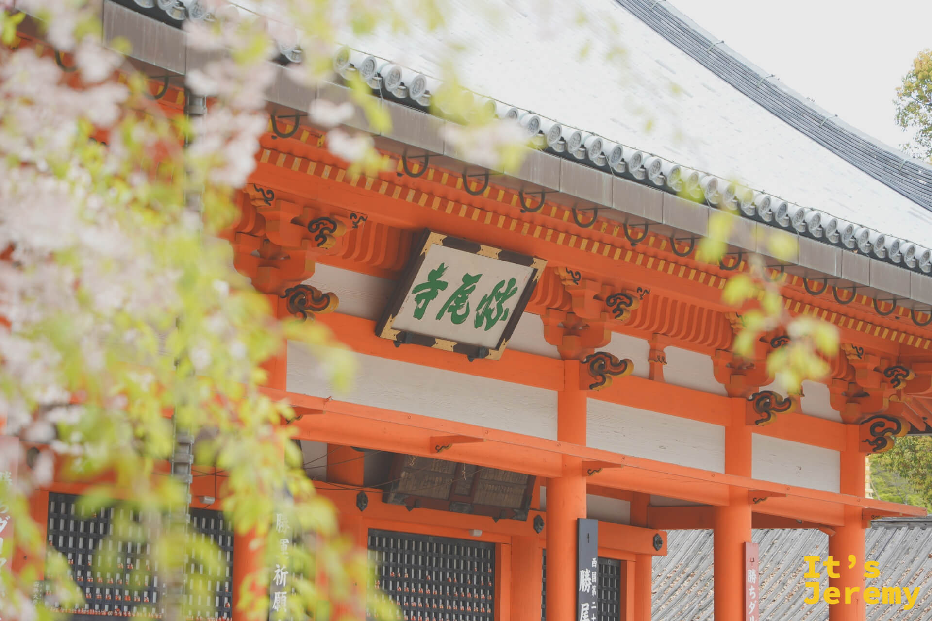 山門局部,前景是剛萌發的春日新葉,屋頂線條勾勒在天空中