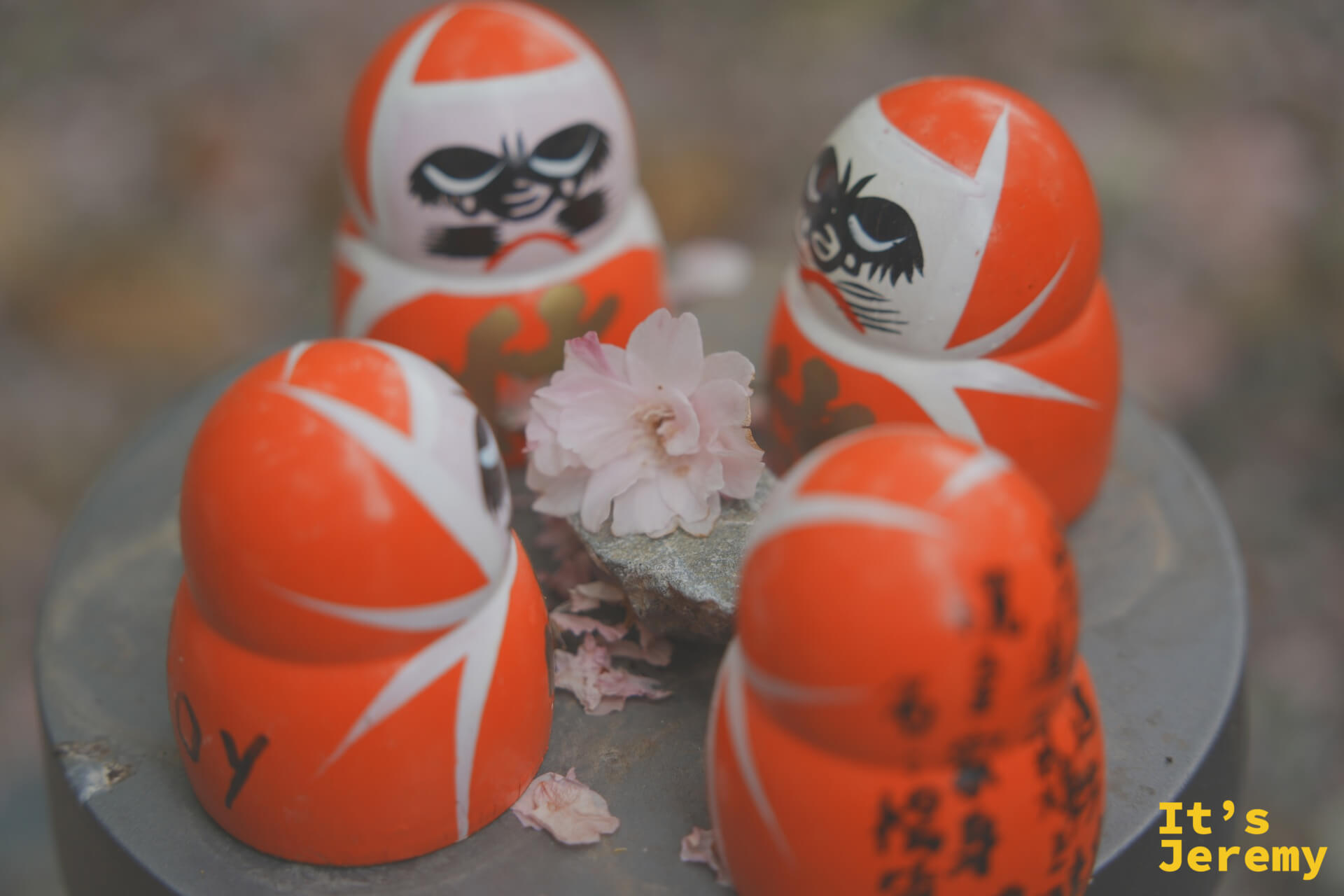 達摩與單朵粉色花瓣,細膩的春日小品