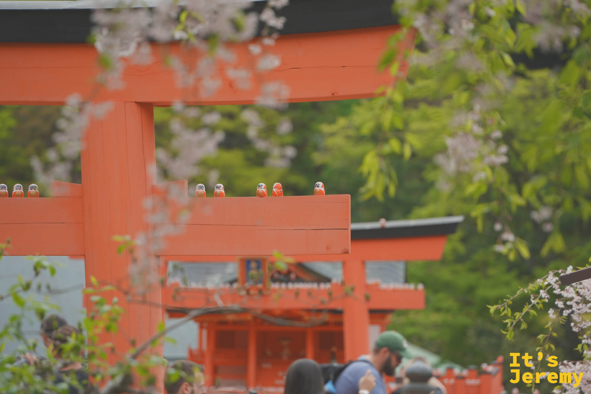 鳥居通道,橫樑上有幾個小達摩靜靜坐著