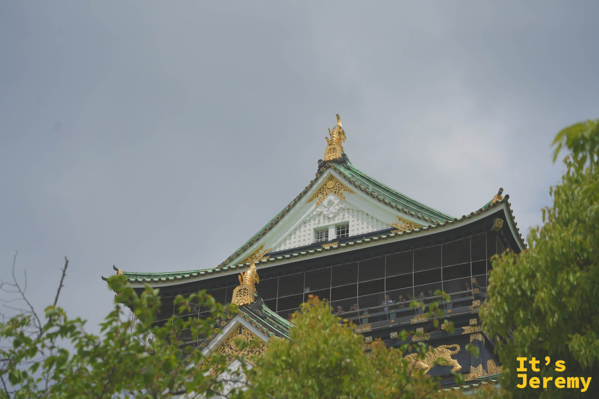 大阪城天守閣從公園樹叢間望去，白牆翠頂配上金色裝飾