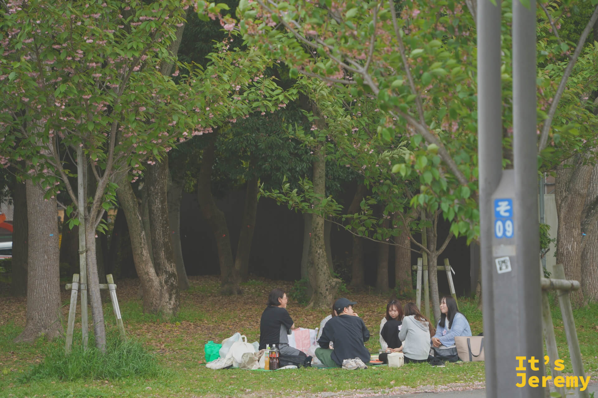 幾個朋友在公園樹叢邊席地而坐野餐
