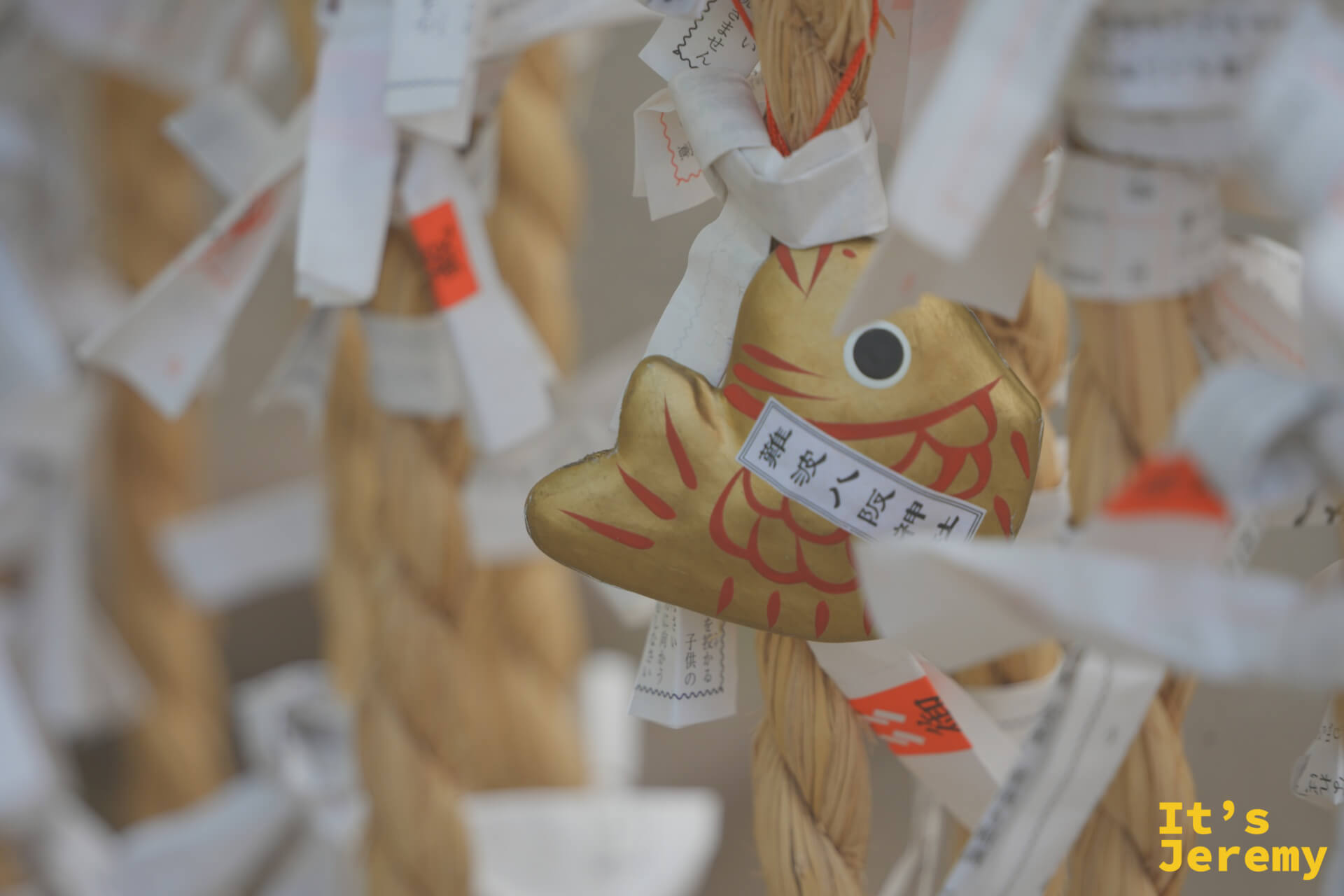 金色魚形おみくじ掛飾特寫，附有籤文白紙綁在旁邊