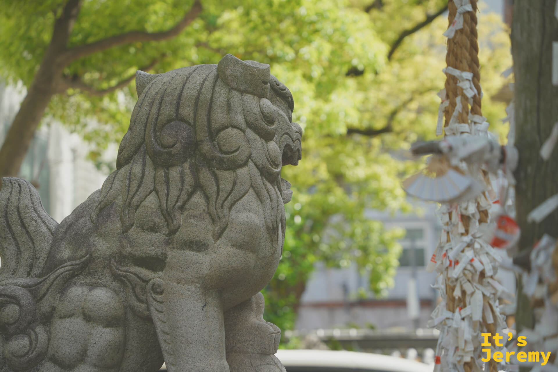 石狛犬側面特寫，背景有綁滿籤紙的繩結