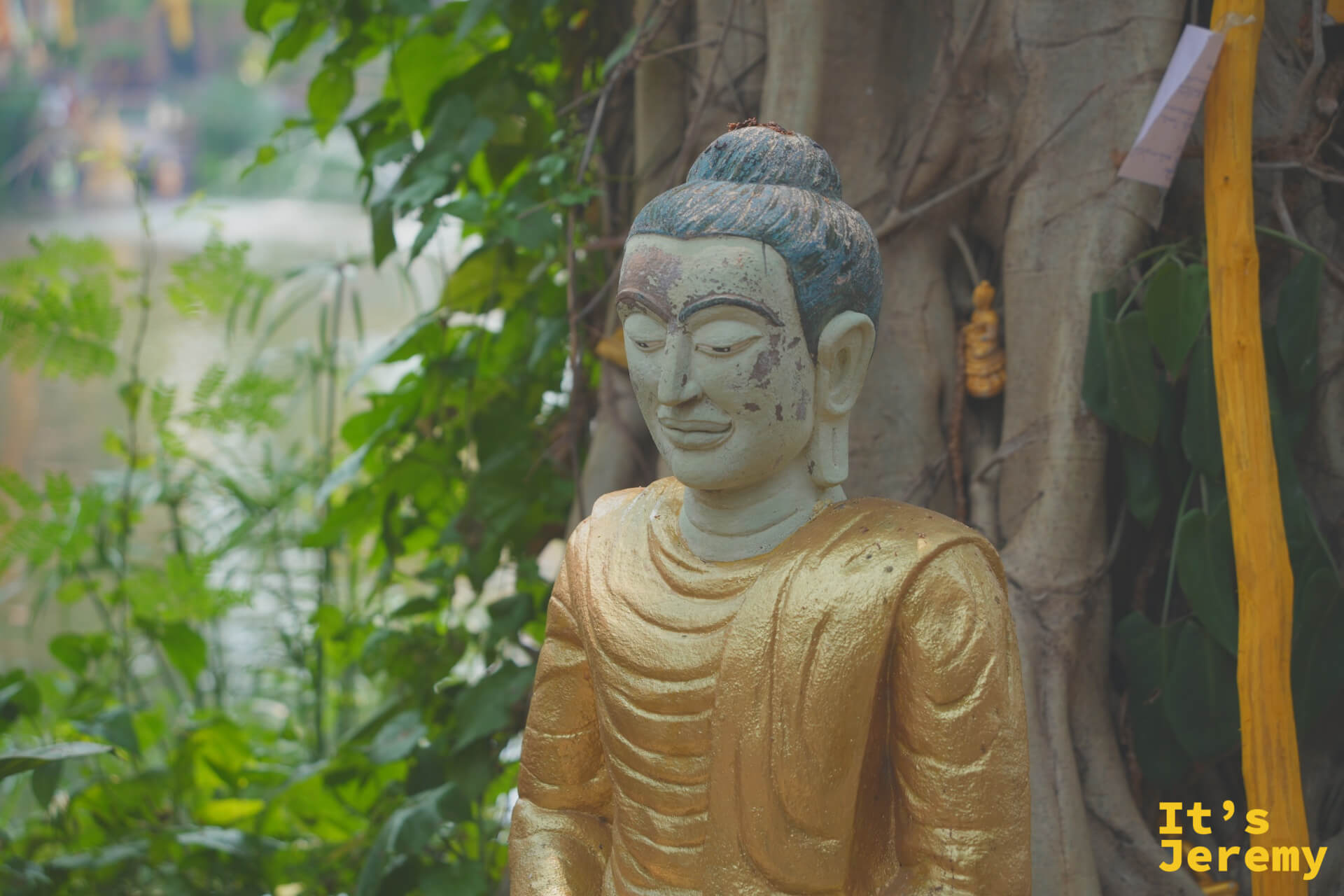 金漆半剝落的佛像倚靠老樹站立，背景是清澈的水道與茂密植栽