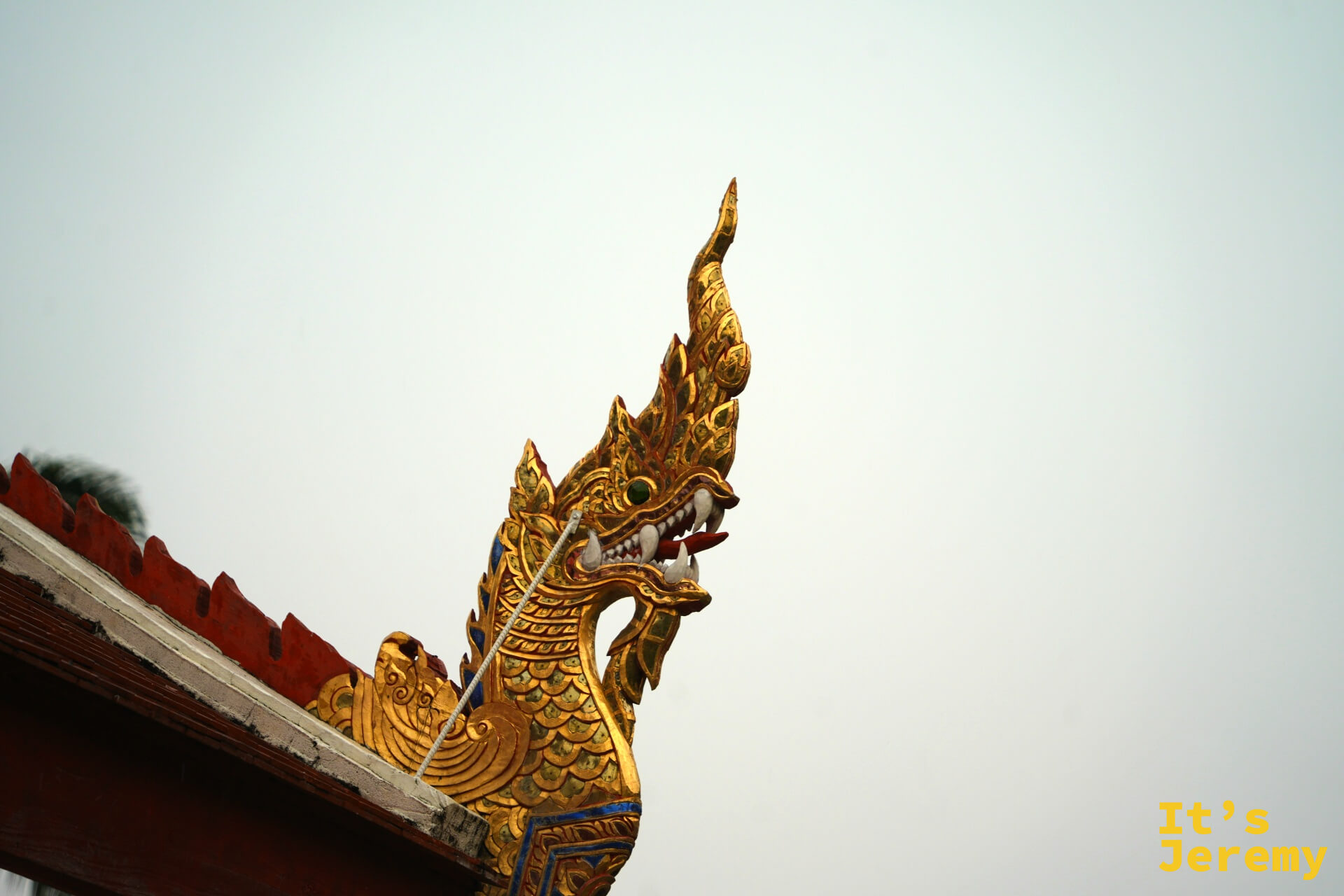 殿宇屋脊那伽龍頭特寫,金色,口微開,鱗片清晰