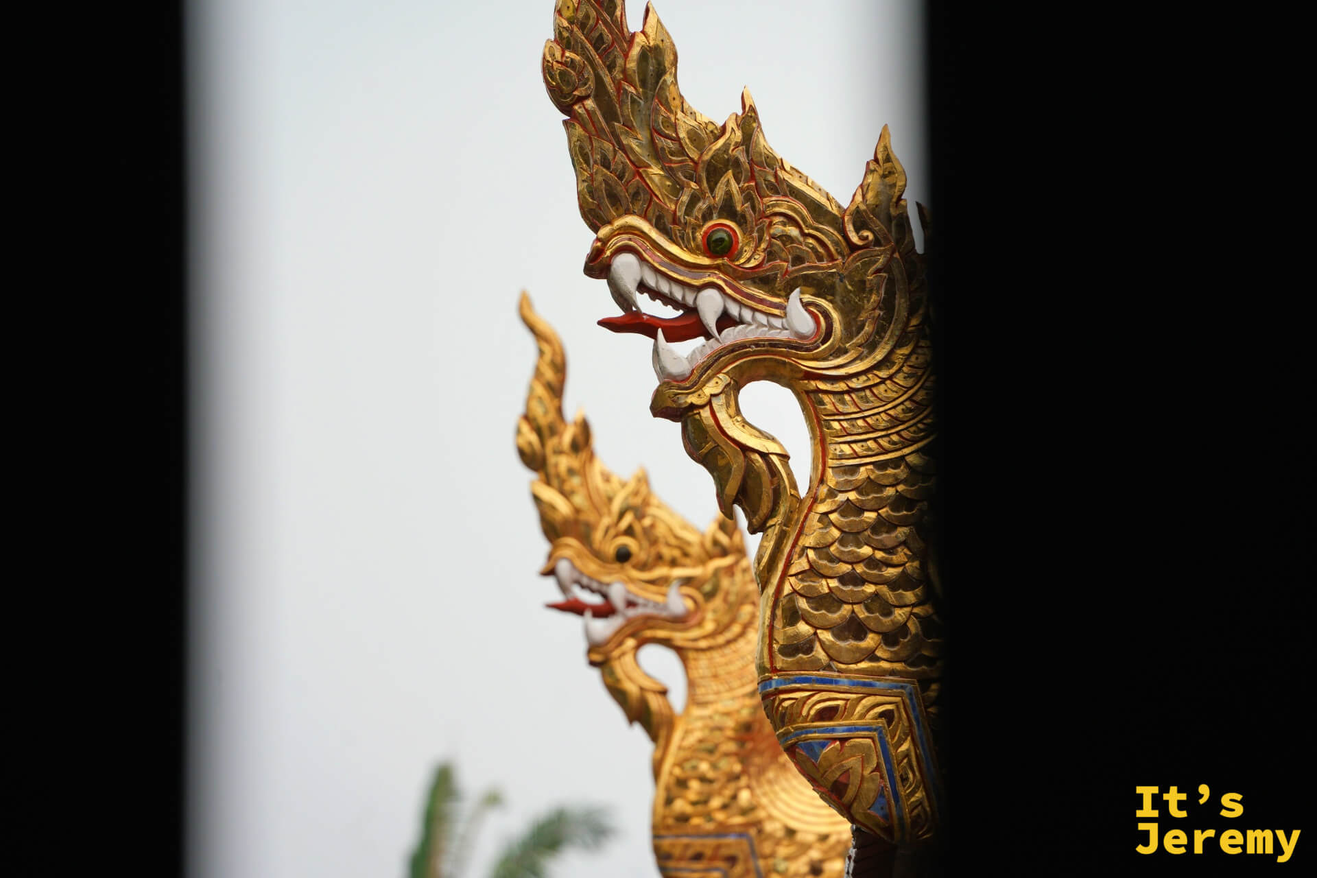 那伽雙頭並列特寫,金色鱗片,眼珠帶藍綠光澤