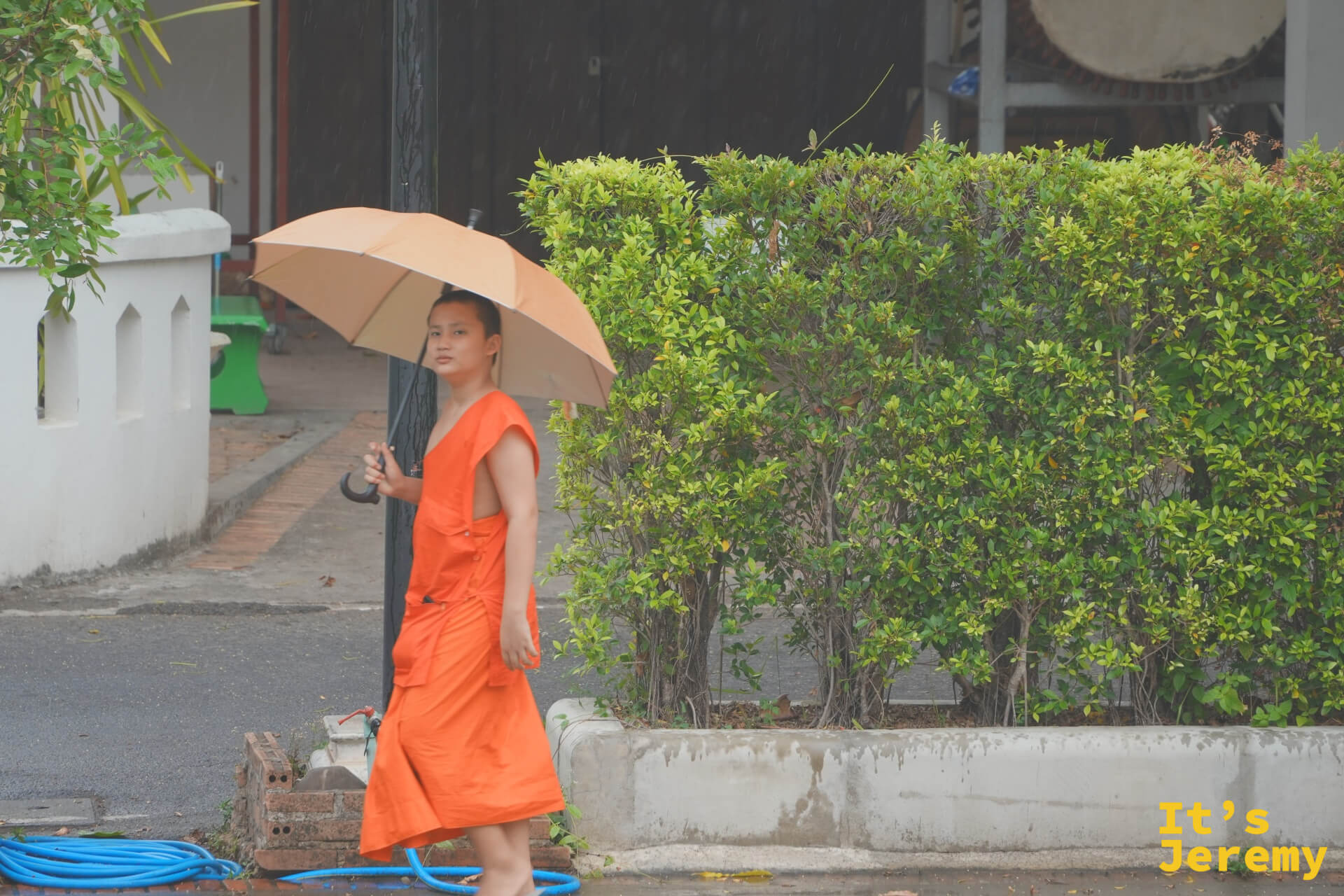 雨中橘衣小僧侶撐著雨傘穿過庭院