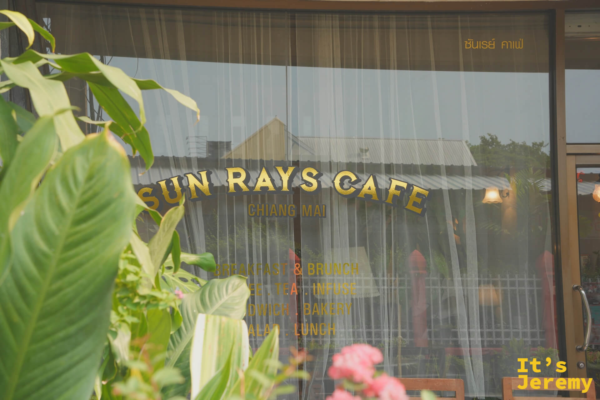 Sun Rays Café 玻璃窗外，植物叢生的入口與金色店招