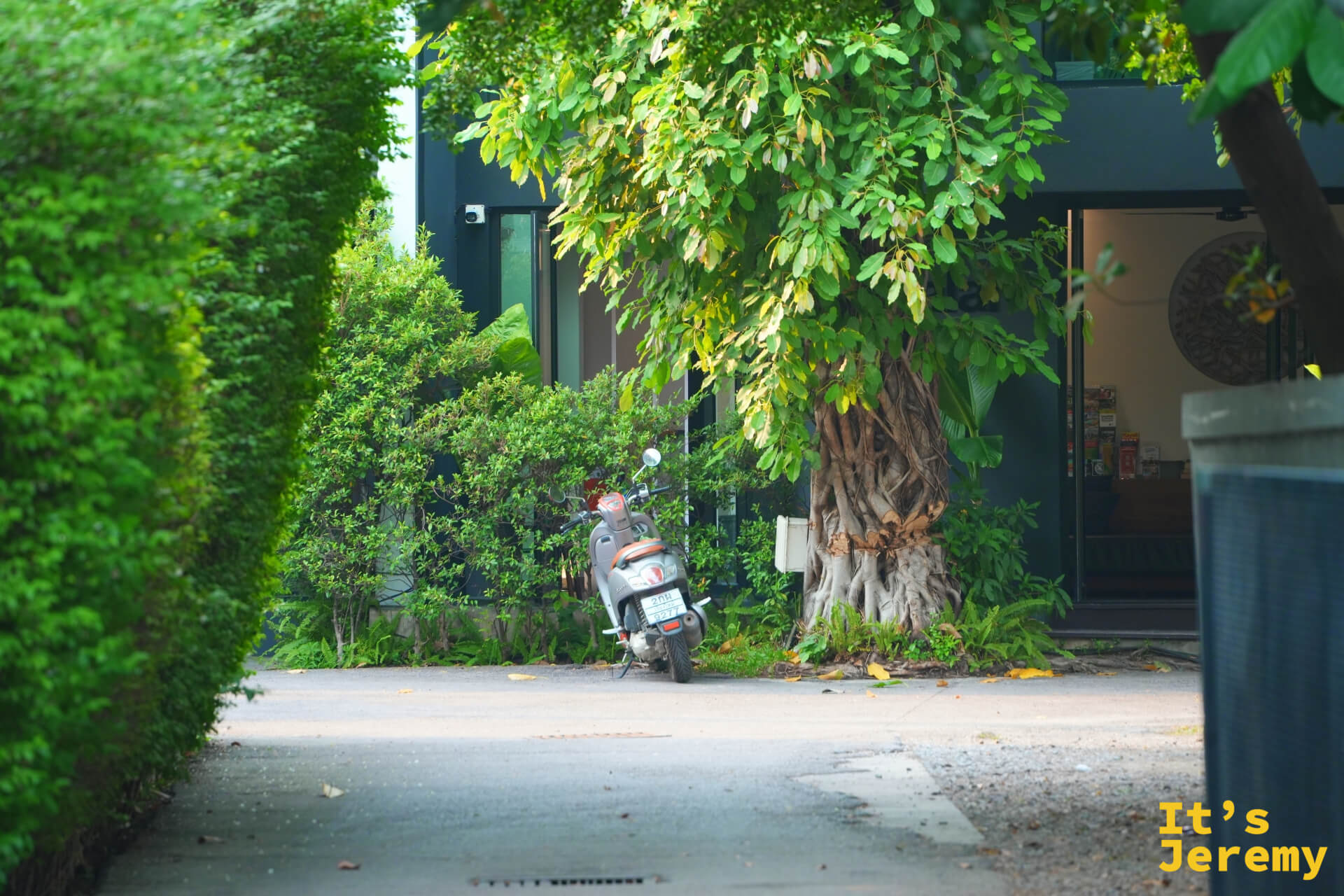 GAAD Coffee 周邊一條安靜的綠蔭小徑,摩托車停在大樹旁,光影落在石板路上