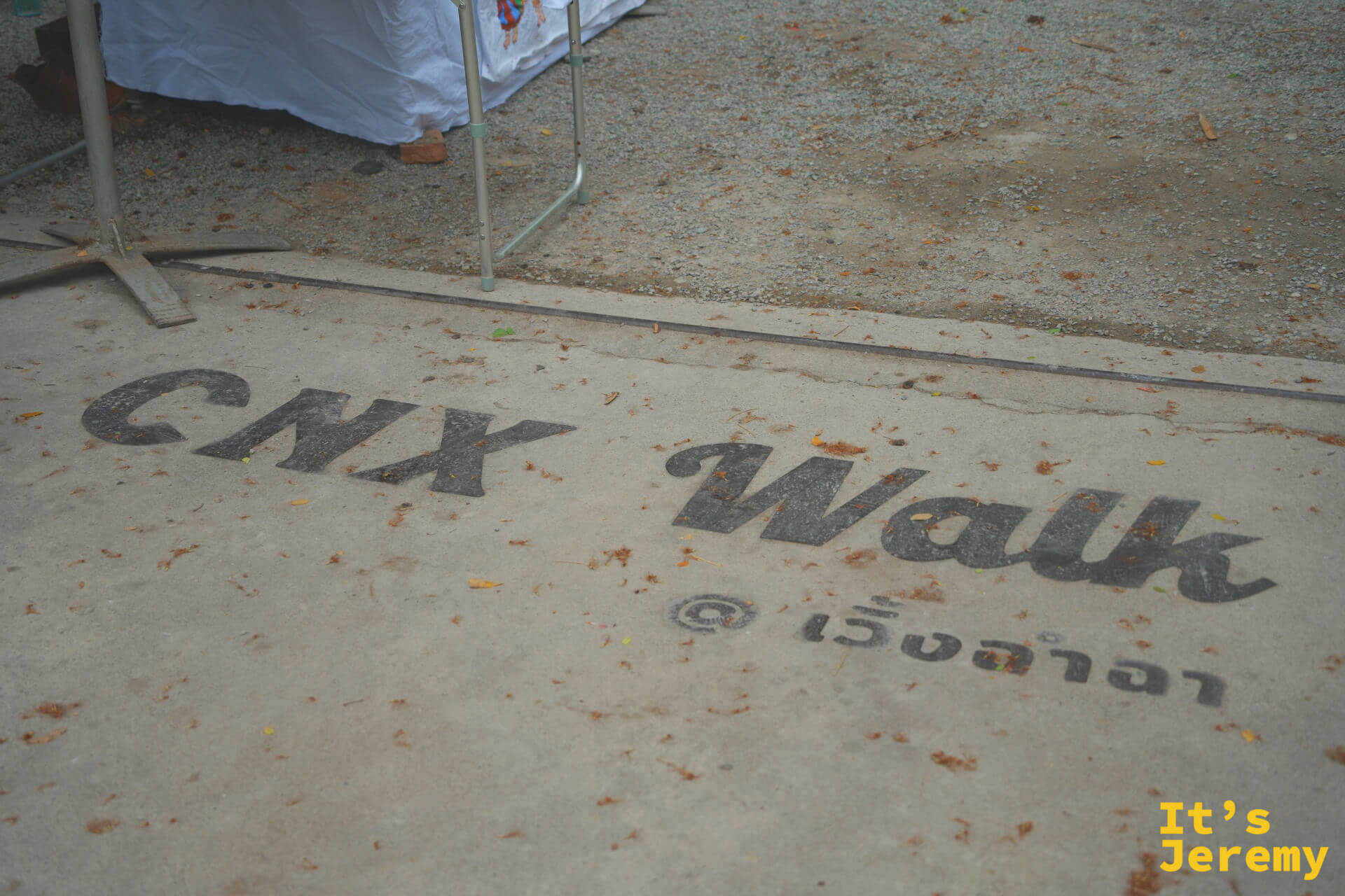 水泥地面上印著「CNX Walk @ เวิ้งฉำฉา」字樣,散落著細碎落葉