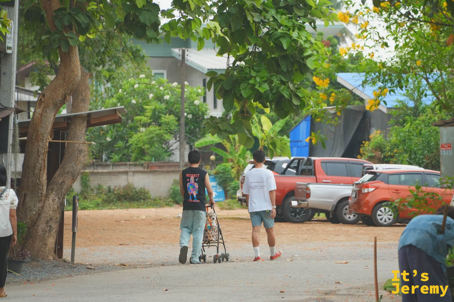 有人推著嬰兒車走在社區外圍的路上,路邊停著皮卡車,樹上開著黃花