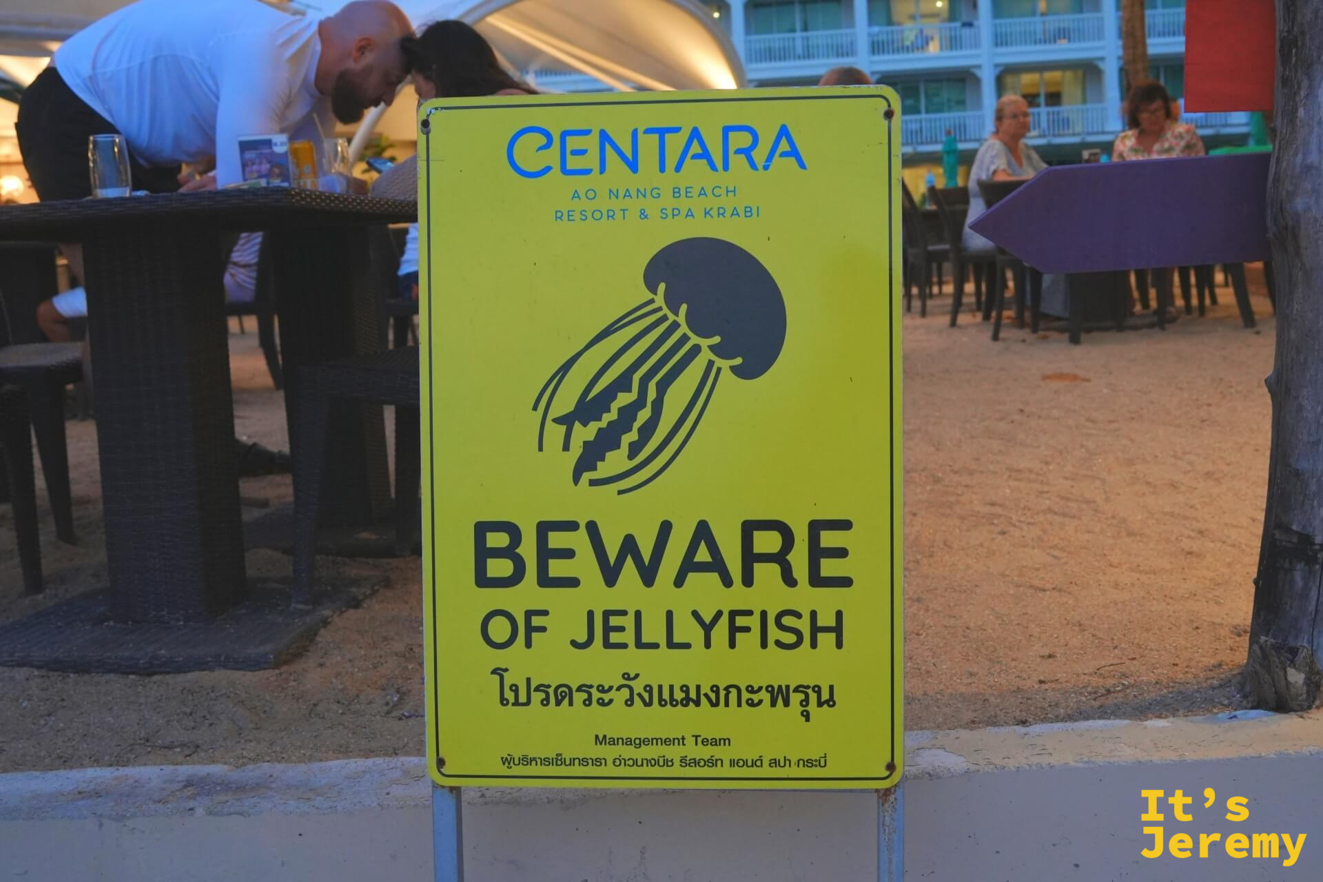 Centara Ao Nang Beach Resort 立的黃色水母警示牌特寫，英文與泰文警示